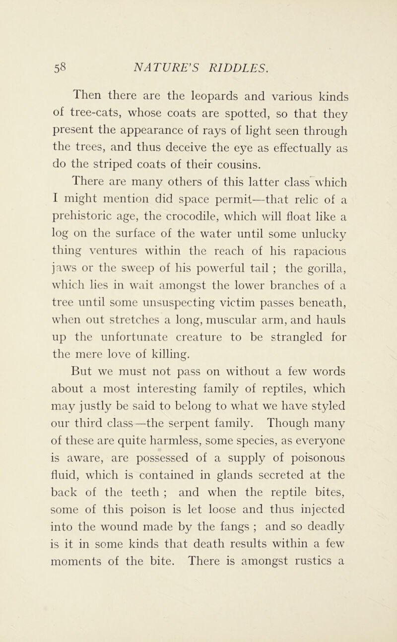 Then there are the leopards and various kinds of tree-cats, whose coats are spotted, so that they present the appearance of rays of light seen through the trees, and thus deceive the eye as effectually as do the striped coats of their cousins. There are many others of this latter class^which I might mention did space permit—that relic of a prehistoric age, the crocodile, which will float like a log on the surface of the water until some unlucky thing ventures within tlie reach of his rapacious jaws or the sweep of liis powerful tail ; the gorilla, which lies in wait amongst the lower branches of a tree until some unsuspecting victim passes beneath, when out stretches a long, muscular arm, and hauls up the unfortunate creature to be strangled for the mere love of killing. But we must not pass on without a few words about a most interesting family of reptiles, which may justly be said to belong to what we have styled our third class—the serpent family. Though many of these are quite harmless, some species, as everyone is aware, are possessed of a supply of poisonous fluid, which is contained in glands secreted at the back of the teeth ; and when the reptile bites, some of this poison is let loose and thus injected into the wound made by the fangs ; and so deadly is it in some kinds that death results within a few moments of the bite. There is amongst rustics a