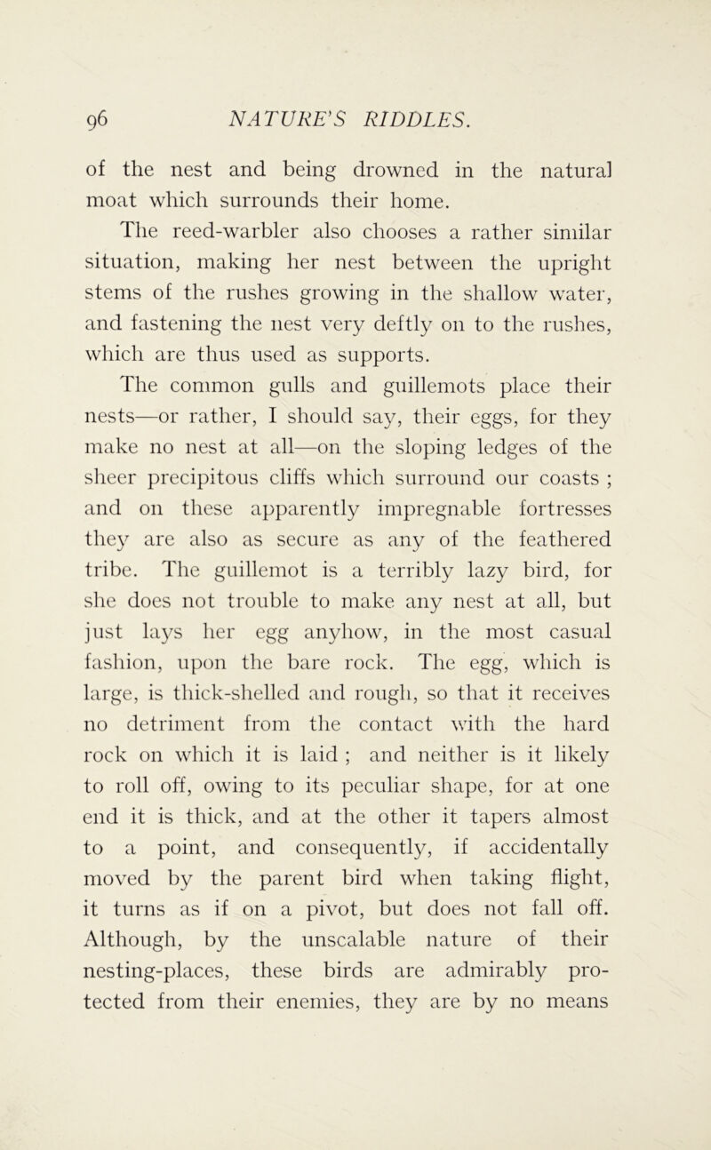 of the nest and being drowned in the natural moat which surrounds their home. The reed-warbler also chooses a rather similar situation, making her nest between the upright stems of the rushes growing in the shallow water, and fastening the nest very deftly on to the rushes, which are thus used as supports. The common gulls and guillemots place their nests—or rather, I should say, their eggs, for they make no nest at all—on the sloping ledges of the sheer precipitous cliffs which surround our coasts ; and on these apparently impregnable fortresses they are also as secure as any of the feathered tribe. The guillemot is a terribly lazy bird, for she does not trouble to make any nest at all, but just la}^s her egg anyhow, in the most casual fashion, upon the bare rock. The egg, which is large, is thick-shelled and rough, so that it receives no detriment from the contact with the hard rock on which it is laid ; and neither is it likely to roll off, owing to its peculiar shape, for at one end it is thick, and at the other it tapers almost to a point, and consequently, if accidentally moved by the parent bird when taking flight, it turns as if on a pivot, but does not fall off. Although, by the unscalable nature of their nesting-places, these birds are admirably pro- tected from their enemies, they are by no means