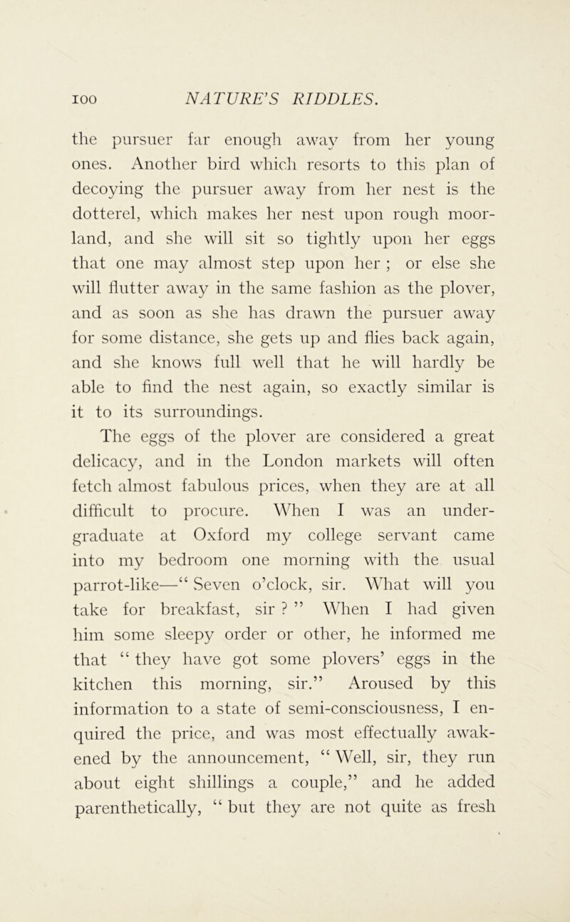 the pursuer far enough away from her young ones. Another bird which resorts to this plan of decoying the pursuer away from her nest is the dotterel, which makes her nest upon rough moor- land, and she will sit so tightly upon her eggs that one may almost step upon her ; or else she will flutter away in the same fashion as the plover, and as soon as she has drawn the pursuer away for some distance, she gets up and flies back again, and she knows full well that he will hardly be able to find the nest again, so exactly similar is it to its surroundings. The eggs of the plover are considered a great delicacy, and in the London markets will often fetch almost fabulous prices, when they are at all difflcult to procure. When I was an under- graduate at Oxford my college servant came into my bedroom one morning with the usual parrot-like—“ Seven o’clock, sir. What will you take for breakfast, sir ? ” When I had given him some sleep}/ order or other, he informed me that “ they have got some plovers’ eggs in the kitchen this morning, sir.” Aroused by this information to a state of semi-consciousness, I en- quired the price, and was most effectually awak- ened by the announcement, “ Well, sir, they run about eight shillings a couple,” and he added parenthetically, “ but they are not quite as fresh
