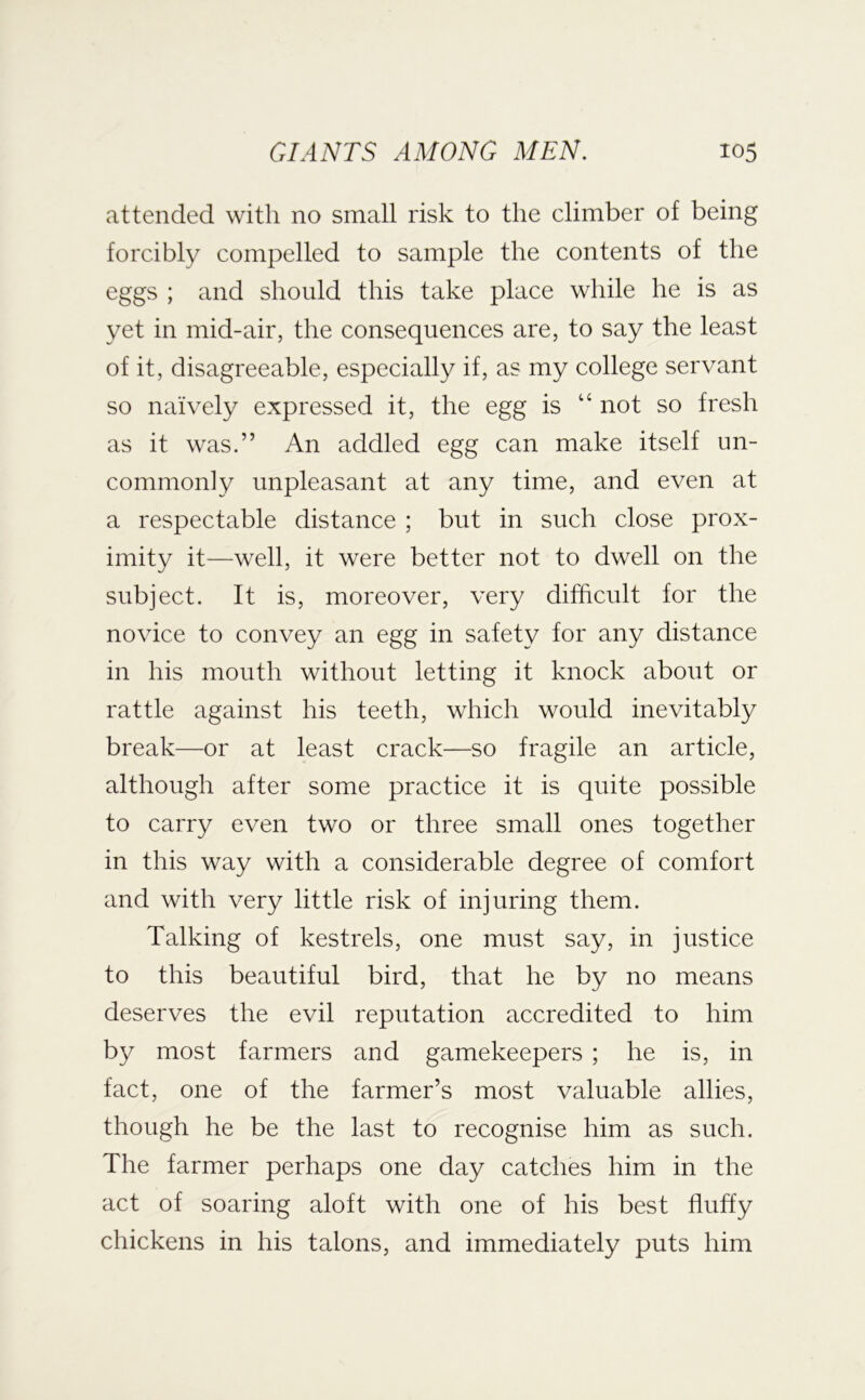 attended with no small risk to the climber of being forcibly compelled to sample the contents of the eggs ; and should this take place while he is as yet in mid-air, the consequences are, to say the least of it, disagreeable, especially if, as my college servant so naively expressed it, the egg is “ not so fresh as it was.” An addled egg can make itself un- commonly unpleasant at any time, and even at a respectable distance ; but in such close prox- imity it—well, it were better not to dwell on the subject. It is, moreover, very difficult for the novice to convey an egg in safety for any distance in his mouth without letting it knock about or rattle against his teeth, which would inevitably break—or at least crack—so fragile an article, although after some practice it is quite possible to carry even two or three small ones together in this way with a considerable degree of comfort and with very little risk of injuring them. Talking of kestrels, one must say, in justice to this beautiful bird, that he by no means deserves the evil reputation accredited to him by most farmers and gamekeepers ; he is, in fact, one of the farmer’s most valuable allies, though he be the last to recognise him as such. The farmer perhaps one day catches him in the act of soaring aloft with one of his best fluffy chickens in his talons, and immediately puts him