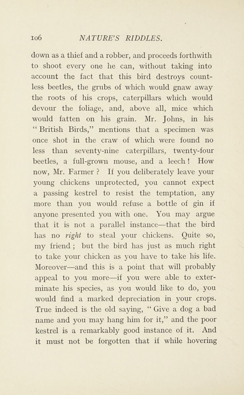 down as a thief and a robber, and proceeds forthwith to shoot every one he can, without taking into account the fact that this bird destroys count- less beetles, the grubs of which would gnaw away the roots of his crops, caterpillars which would devour the foliage, and, above all, mice which would fatten on his grain. Mr. Johns, in his “ British Birds,” mentions that a specimen was once shot in the craw of which were found no less than seventy-nine caterpillars, twenty-four beetles, a full-grown mouse, and a leech ! How now, Mr. Farmer ? If you deliberately leave your young chickens unprotected, you cannot expect a passing kestrel to resist the temptation, any more than you would refuse a bottle of gin if anyone presented you with one. You may argue that it is not a parallel instance—that the bird has no right to steal your chickens. Quite so, my friend ; but the bird has just as much right to take your chicken as you have to take his life. ^Moreover—and this is a point that will probably appeal to you more—if you were able to exter- minate his species, as you would like to do, you would find a marked depreciation in your crops. True indeed is the old saying, “ Give a dog a bad name and you may hang him for it,” and the poor kestrel is a remarkably good instance of it. And it must not be forgotten that if while hovering