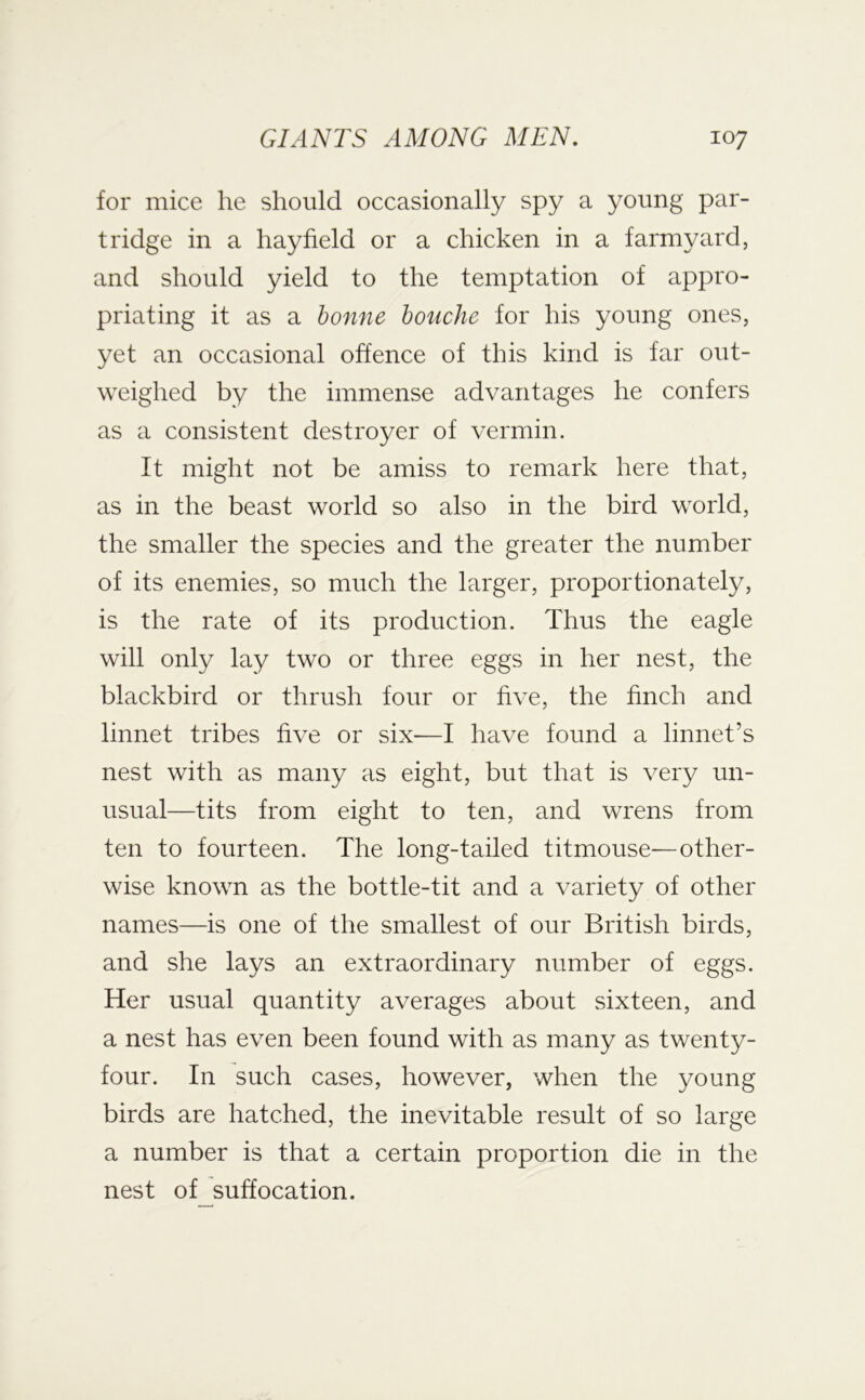 for mice he should occasionally spy a young par- tridge in a hayfield or a chicken in a farmyard, and should yield to the temptation of appro- priating it as a bonne houche for his young ones, yet an occasional offence of this kind is far out- weighed by the immense advantages he confers as a consistent destroyer of vermin. It might not be amiss to remark here that, as in the beast world so also in the bird world, the smaller the species and the greater the number of its enemies, so much the larger, proportionately, is the rate of its production. Thus the eagle will only lay two or three eggs in her nest, the blackbird or thrush four or five, the finch and linnet tribes five or six—I have found a linnet’s nest with as many as eight, but that is very un- usual—tits from eight to ten, and wrens from ten to fourteen. The long-tailed titmouse—other- wise known as the bottle-tit and a variety of other names—is one of the smallest of our British birds, and she lays an extraordinary number of eggs. Her usual quantity averages about sixteen, and a nest has even been found with as many as twenty- four. In such cases, however, when the young birds are hatched, the inevitable result of so large a number is that a certain proportion die in the nest of suffocation.