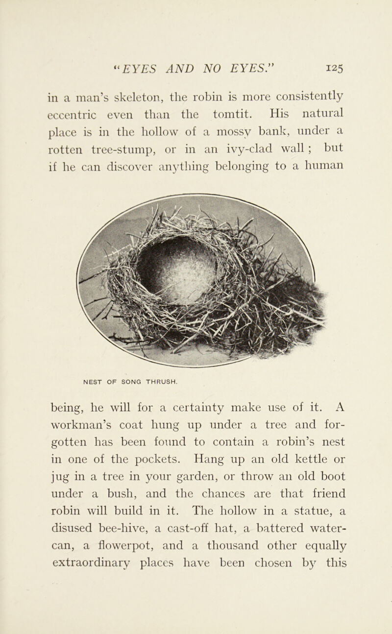 in a man’s skeleton, the robin is more consistently eccentric even than the tomtit. His natural place is in the hollow of a mossy banli, under a rotten tree-stump, or in an ivy-clad wall ; but if he can discover anything belonging to a human NEST OF SONG THRUSH. being, he will for a certainty make use of it. A workman’s coat hung up under a tree and for- gotten has been found to contain a robin’s nest in one of the pockets. Hang up an old kettle or jug in a tree in your garden, or throw an old boot under a bush, and the chances are that friend robin will build in it. The hollow in a statue, a disused bee-hive, a cast-off hat, a battered water- can, a flowerpot, and a thousand other equally extraordinary places have been chosen by this