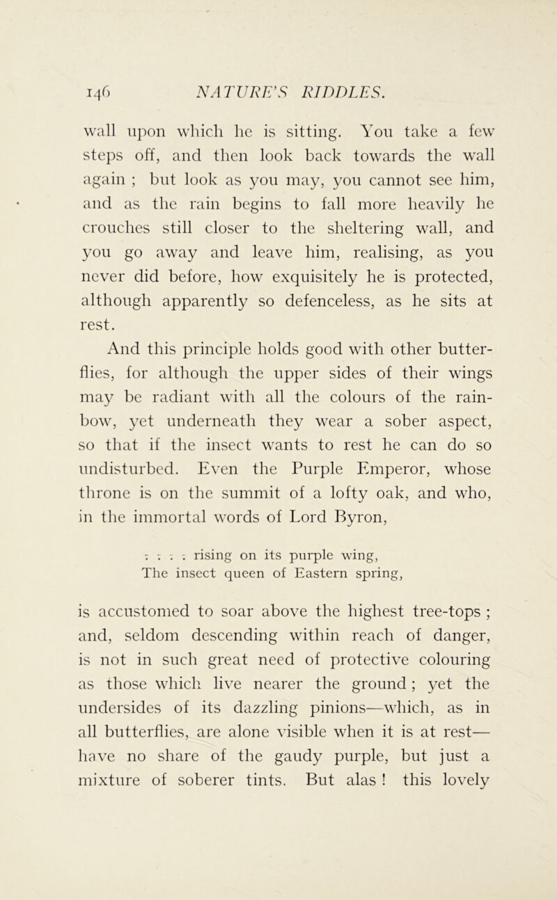 wall upon which he is sitting. Yon take a few steps off, and then look baek towards the wall again ; but look as yon may, yon cannot see him, and as the rain begins to fall more heavily he crouches still closer to the sheltering wall, and you go away and leave him, realising, as you never did before, how exquisitely he is protected, although apparently so defenceless, as he sits at rest. And this principle holds good with other butter- flies, for although the upper sides of their wings may be radiant with all the colours of the rain- bow, yet underneath they wear a sober aspect, so that if the insect wants to rest he can do so undisturbed. Even the Purple Emperor, whose throne is on the summit of a lofty oak, and who, in tlie immortal words of Lord Byron, : V : ; rising on its pnrple wing, The insect queen of Eastern spring, is accustomed to soar above the highest tree-tops ; and, seldom descending within reach of danger, is not in such great need of protective colouring as those which live nearer the ground ; yet the undersides of its dazzling pinions—which, as in all butterflies, are alone visible when it is at rest— have no share of the gaudy purple, but just a mixture of soberer tints. But alas ! this lovely
