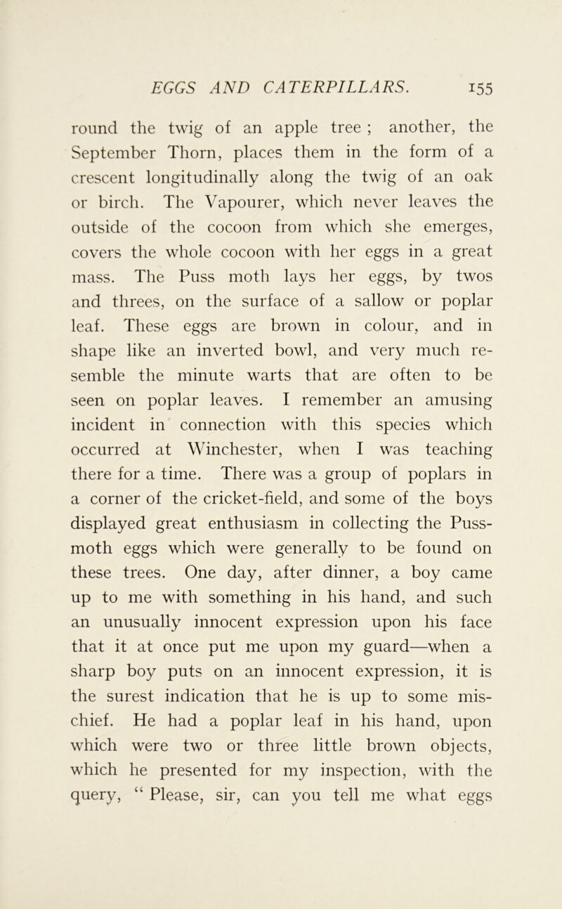 round the twig of an apple tree ; another, the September Thorn, places them in the form of a crescent longitudinally along the twig of an oak or birch. The Vapourer, which never leaves the outside of the cocoon from which she emerges, covers the whole cocoon with her eggs in a great mass. The Puss moth lays her eggs, by twos and threes, on the surface of a sallow or poplar leaf. These eggs are brown in colour, and in shape like an inverted bowl, and very much re- semble the minute warts that are often to be seen on poplar leaves. I remember an amusing incident in connection with this species which occurred at Winchester, when I was teaching there for a time. There was a group of poplars in a corner of the cricket-field, and some of the boys displayed great enthusiasm in collecting the Puss- moth eggs which were generally to be found on these trees. One day, after dinner, a boy came up to me with something in his hand, and such an unusually innocent expression upon his face that it at once put me upon my guard—when a sharp boy puts on an innocent expression, it is the surest indication that he is up to some mis- chief. He had a poplar leaf in his hand, upon which were two or three little brown objects, which he presented for my inspection, with the query, “ Please, sir, can you tell me what eggs