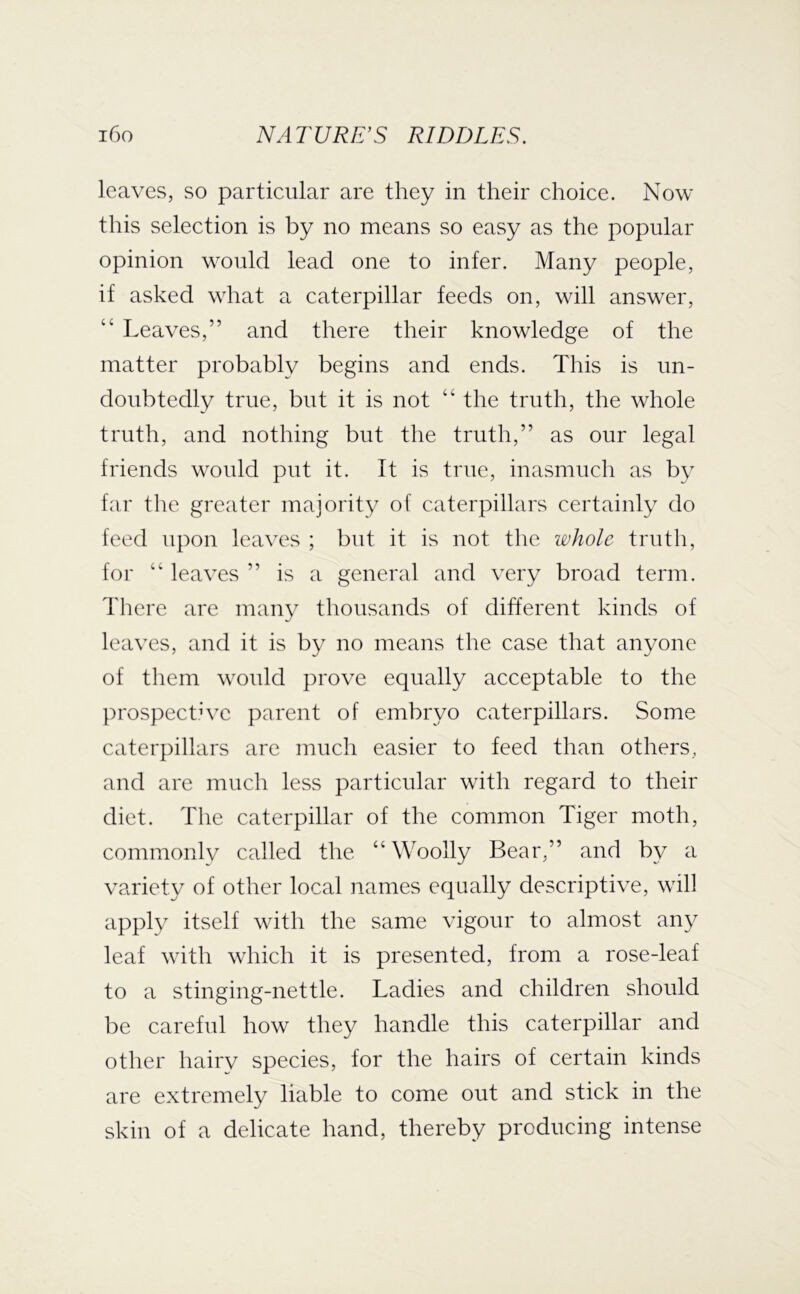 leaves, so particular are they in their choice. Now this selection is by no means so easy as the popular opinion would lead one to infer. Many people, if asked what a caterpillar feeds on, will answer, “ Leaves,” and there their knowledge of the matter probably begins and ends. This is un- doubtedly true, but it is not “ the truth, the whole truth, and nothing but the truth,” as our legal friends would put it. It is true, inasmuch as by far the greater majority of caterpillars certainly do feed upon leaves ; but it is not the whole trutli, for “ leaves ” is a general and very broad term. There are many thousands of diherent kinds of leaves, and it is by no means the case that anyone of them would prove equally acceptable to the prospective parent of embryo caterpillars. Some caterpillars are much easier to feed than others, and are much less particular with regard to their diet. The caterpillar of the common Tiger moth, commonlv called the “Woolly Bear,” and by a variety of other local names equally descriptive, will apply itself with the same vigour to almost any leaf with which it is presented, from a rose-leaf to a stinging-nettle. Ladies and children should be careful how they handle this caterpillar and other hairy species, for the hairs of certain kinds are extremely liable to come out and stick in the skin of a delicate hand, thereby producing intense