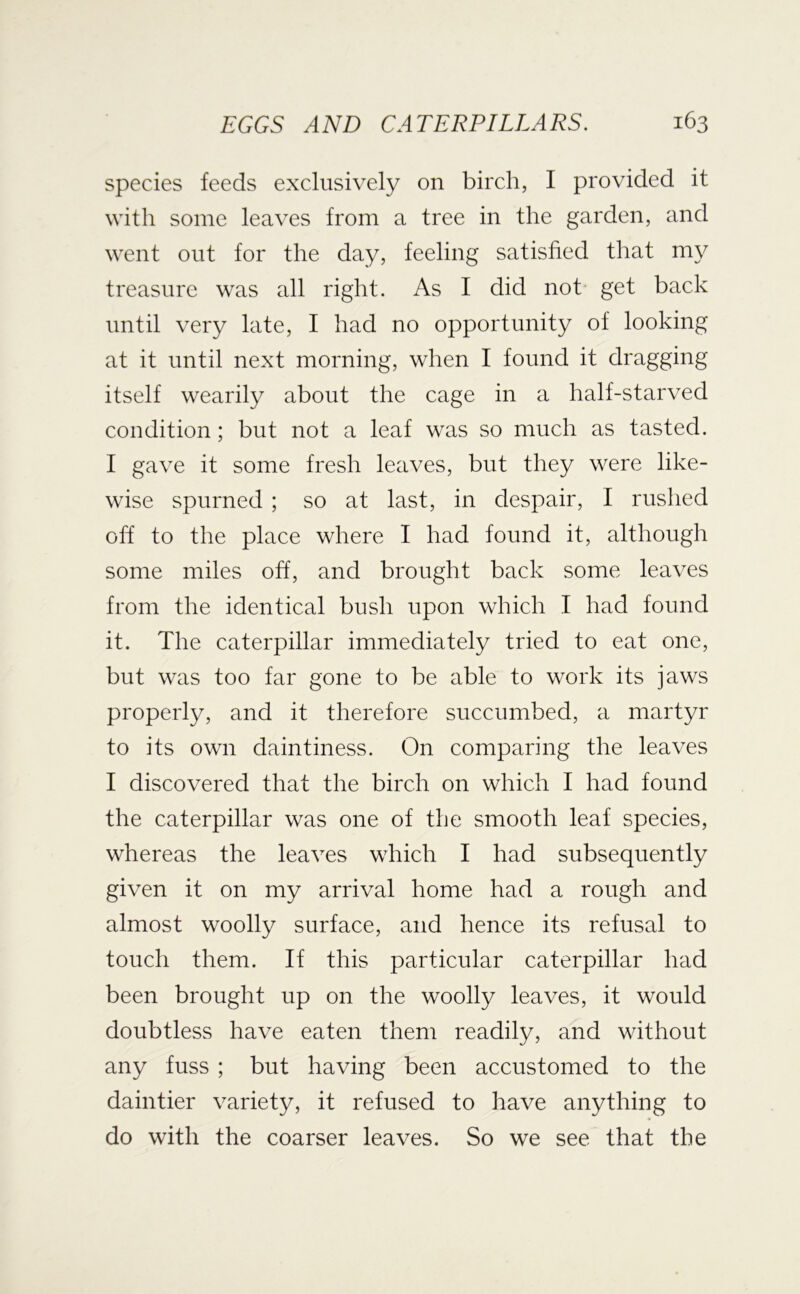 species feeds exclusively on birch, I provided it with some leaves from a tree in the garden, and went out for the day, feeling satisfied that my treasure was all right. As I did not get back until very late, I had no opportunity of looking at it until next morning, when I found it dragging itself wearily about the cage in a half-starved condition; but not a leaf was so much as tasted. I gave it some fresh leaves, but they were like- wise spurned ; so at last, in despair, I rushed off to the place where I had found it, although some miles off, and brought back some leaves from the identical bush upon which I had found it. The caterpillar immediately tried to eat one, but was too far gone to be able to work its jaws properly, and it therefore succumbed, a martyr to its own daintiness. On comparing the leaves I discovered that the birch on which I had found the caterpillar was one of the smooth leaf species, whereas the leaves which I had subsequently given it on my arrival home had a rough and almost woolly surface, and hence its refusal to touch them. If this particular caterpillar had been brought up on the woolly leaves, it would doubtless have eaten them readily, and without any fuss ; but having been accustomed to the daintier variety, it refused to have anything to do with the coarser leaves. So we see that the