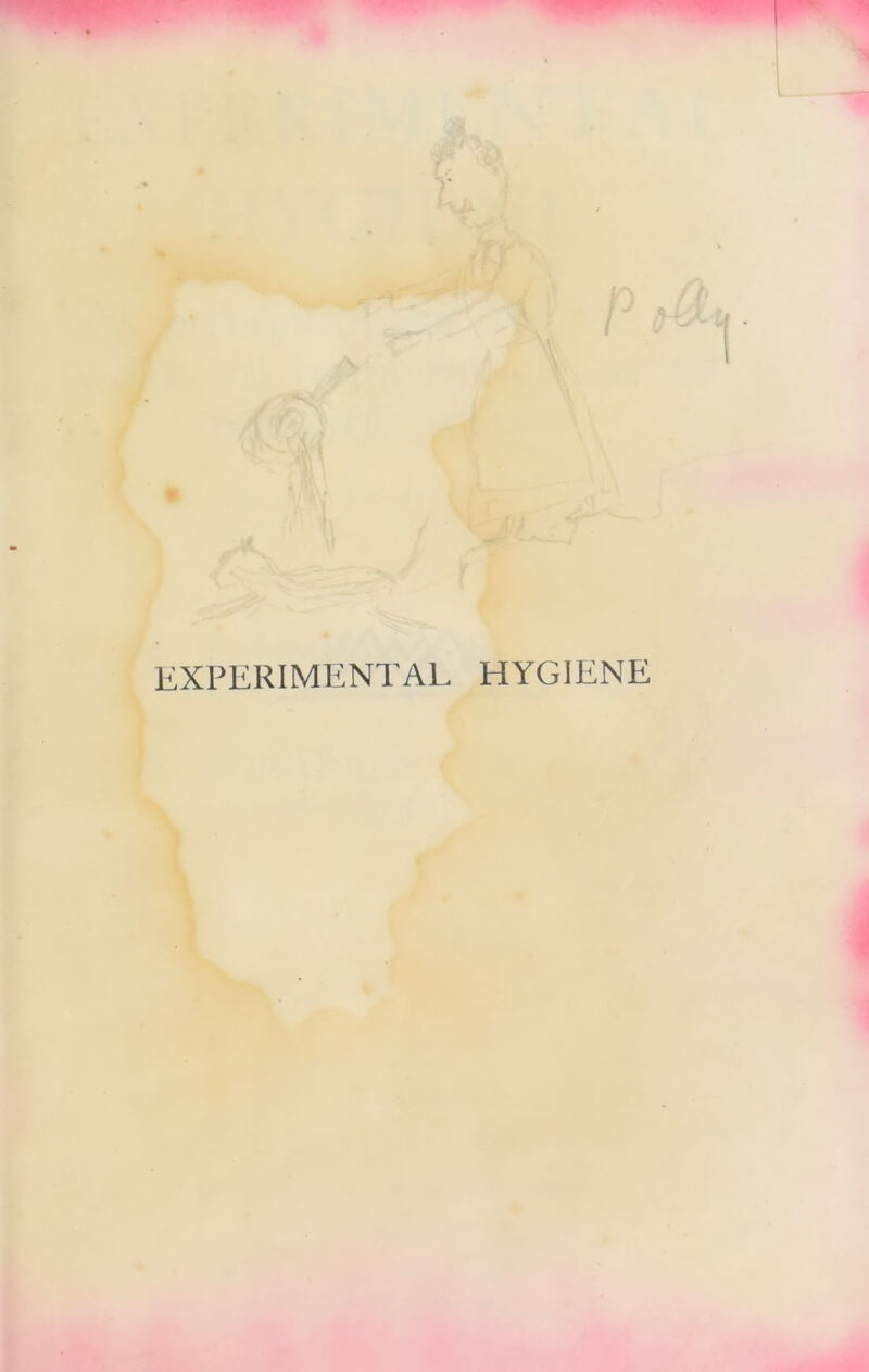 EXPERIMENTAL HYGIENE