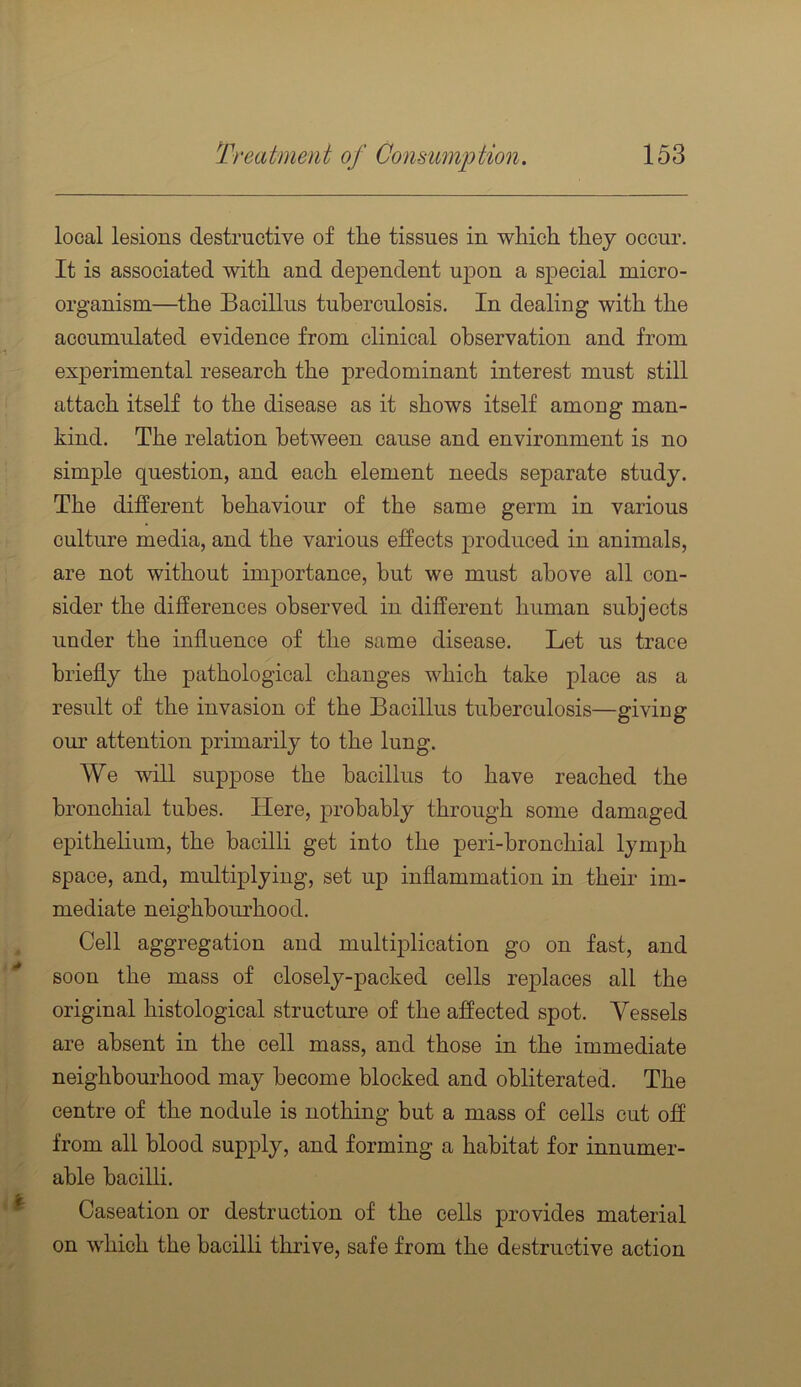 local lesions destructive of the tissues in which they occur. It is associated with and de23endent u2>on a S2>eeial micro- organism—the Bacillus tuberculosis. In dealing with the accumulated evidence from clinical observation and from experimental research the predominant interest must still attach itself to the disease as it shows itself among man- kind. The relation between cause and environment is no simple question, and each element needs separate study. The different behaviour of the same germ in various culture media, and the various effects jDroduced in animals, are not without imjDortance, but we must above all con- sider the differences observed in different human subjects under the influence of the same disease. Let us trace briefly the pathological changes which take place as a result of the invasion of the Bacillus tuberculosis—giving our attention primarily to the lung. We will suppose the bacillus to have reached the bronchial tubes. Here, probably through some damaged epithelium, the bacilli get into the peri-bronchial lymjjh space, and, multiplying, set up inflammation in their im- mediate neighbourhood. Cell aggregation and multiplication go on fast, and soon the mass of closely-packed cells replaces all the original histological structure of the affected spot. Vessels are absent in the cell mass, and those in the immediate neighbourhood may become blocked and obliterated. The centre of the nodule is nothing but a mass of cells cut off from all blood supply, and forming a habitat for innumer- able bacilli. Caseation or destruction of the cells provides material on which the bacilli thrive, safe from the destructive action