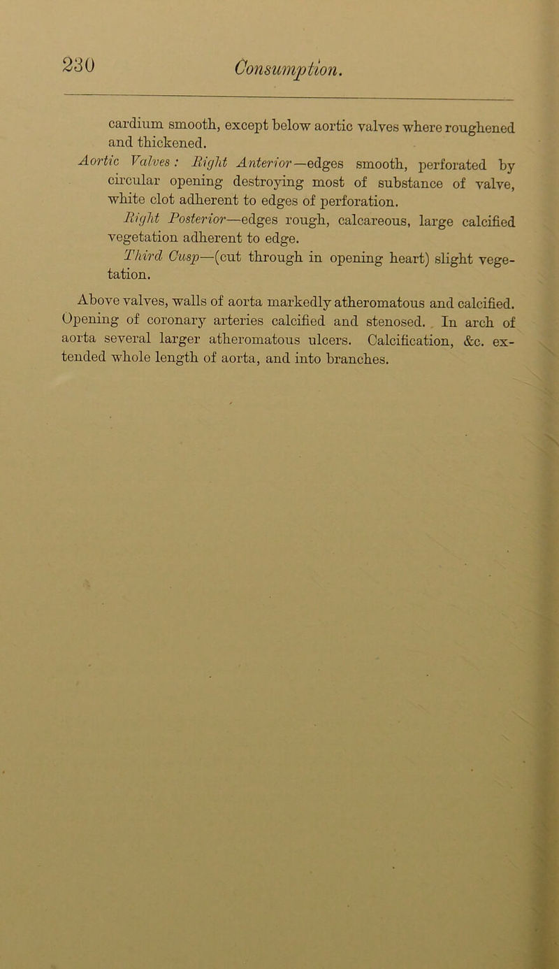 280 cardiuni smootli, excopt bGlow aortic valves where roughened and thickened. Aortic Valves: Right Anterior—smooth, perforated by circular opening destroying most of substance of valve, white clot adherent to edges of perforation. Right Posterior—rough, calcareous, large calcified vegetation adherent to edge. Third Cusp—(cut through in opening heart) slight vege- tation. Above valves, walls of aorta markedly atheromatous and calcified. Opening of coronary arteries calcified and stenosed. . In arch of aorta several larger atheromatous ulcers. Calcification, &c. ex- tended whole length of aorta, and into branches.