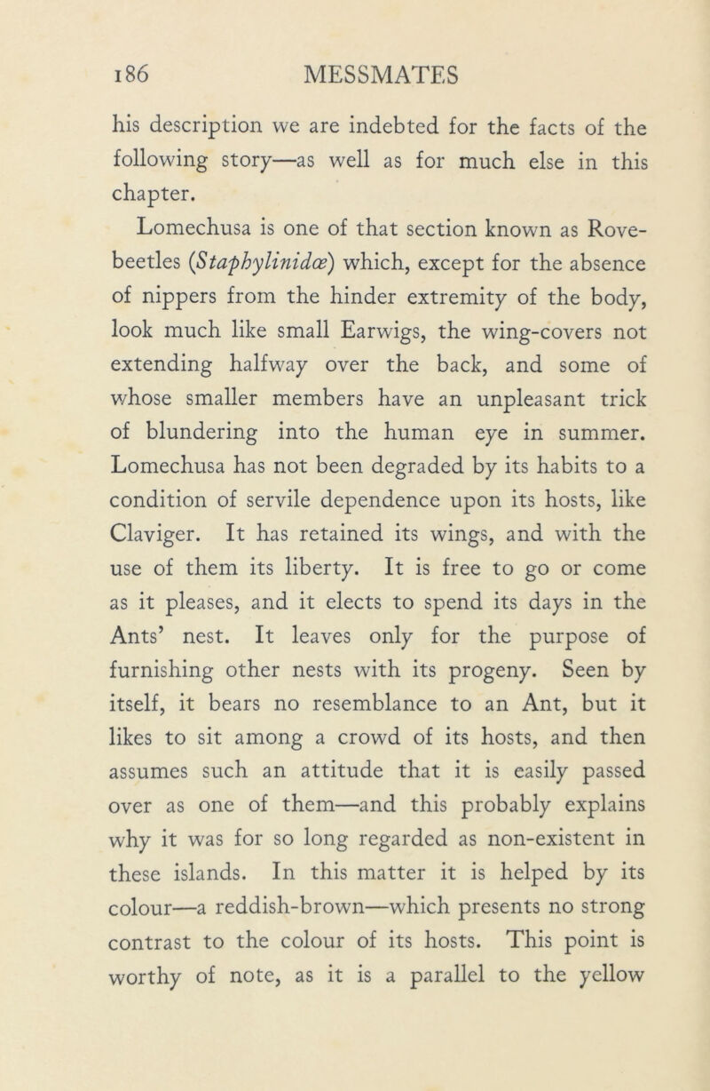 his description we are indebted for the facts of the following story—as well as for much else in this chapter. Lomechusa is one of that section known as Rove- beetles (Sta'phylimdae) which, except for the absence of nippers from the hinder extremity of the body, look much like small Earwigs, the wing-covers not extending halfway over the back, and some of whose smaller members have an unpleasant trick of blundering into the human eye in summer. Lomechusa has not been degraded by its habits to a condition of servile dependence upon its hosts, like Claviger. It has retained its wings, and with the use of them its liberty. It is free to go or come as it pleases, and it elects to spend its days in the Ants’ nest. It leaves only for the purpose of furnishing other nests with its progeny. Seen by itself, it bears no resemblance to an Ant, but it likes to sit among a crowd of its hosts, and then assumes such an attitude that it is easily passed over as one of them—and this probably explains why it was for so long regarded as non-existent in these islands. In this matter it is helped by its colour—a reddish-brown—which presents no strong contrast to the colour of its hosts. This point is worthy of note, as it is a parallel to the yellow