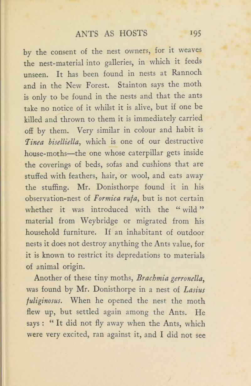 by the consent of the nest owners, for it weaves the nest-material into galleries, in which it feeds unseen. It has been found in nests at Rannoch and in the New Forest. Stainton says the moth is only to be found in the nests and that the ants take no notice of it whilst it is alive, but if one be killed and thrown to them it is immediately carried off by them. Very similar in colour and habit is Tinea biselliella, which is one of our destructive house-moths—the one whose caterpillar gets inside the coverings of beds, sofas and cushions that are stuffed with feathers, hair, or wool, and eats away the stuffing. Mr. Donisthorpe found it in his observation-nest of Formica rufa, but is not certain whether it was introduced with the “ wild ” material from Weybridge or migrated from his household furniture. If an inhabitant of outdoor nests it does not destroy anything the Ants value, for it is known to restrict its depredations to materials of animal origin. Another of these tiny moths, Brachmia gerronella, was found by Mr. Donisthorpe in a nest of Lasius fuliginosus. When he opened the nest the moth flew up, but settled again among the Ants. He says : “ It did not fly away when the Ants, which were very excited, ran against it, and I did not see