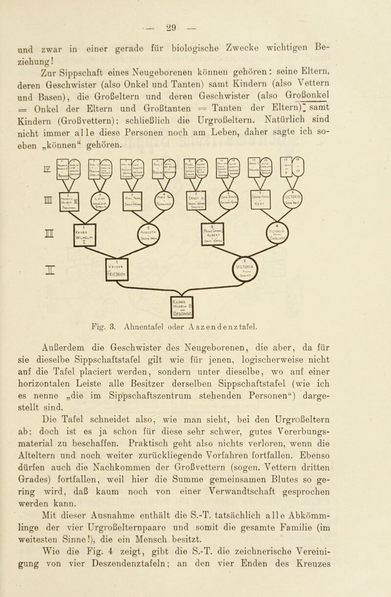 und zwar in einer gerade für biologische Zwecke wichtigen Be- ziehung ! Zur Sippschaft eines Neugeborenen können gehören: seine Eltern, deren Geschwister (also Onkel und Tanten) samt Kindern (also Vettern und Basen), die Großeltern und deren Geschwister (also Großonkel = Onkel der Eltern und Großtanten = Tanten der Eltern)^ samt Kindern (Großvettern); schließlich die Urgroßeltern. Natürlich sind nicht immer alle diese Personen noch am Leben, daher sagte ich so- eben „könnenu gehören. Außerdem die Geschwister des Neugeborenen, die aber, da für sie dieselbe Sippschaftstafel gilt wie für jenen, logischerweise nicht auf die Tafel placiert werden, sondern unter dieselbe, wo auf einer horizontalen Leiste alle Besitzer derselben Sippschaftstafel (wie ich es nenne „die im Sippschaftszentrum stehenden Personen“) darge- stellt sind. Die Tafel schneidet also, wie man sieht, bei den Urgroßeltern ab; doch ist es ja schon für diese sehr schwer, gutes Vererbungs- material zu beschaffen. Praktisch geht also nichts verloren, wenn die Alteltern und noch weiter zurückliegende Vorfahren fortfallen. Ebenso dürfen auch die Nachkommen der Großvettern (sogen. Vettern dritten Grades) fortfallen, w7eil hier die Summe gemeinsamen Blutes so ge- ring wird, daß kaum noch von einer Verwandtschaft gesprochen werden kann. Mit dieser Ausnahme enthält die S.-T. tatsächlich alle Abkömm- linge der vier Urgroßelternpaare und somit die gesamte Familie (im weitesten Sinne!), die ein Mensch besitzt. Wie die Fig. 4 zeigt, gibt die S.-T. die zeichnerische Vereini- gung von vier Deszendenztafeln; an den vier Enden des Kreuzes