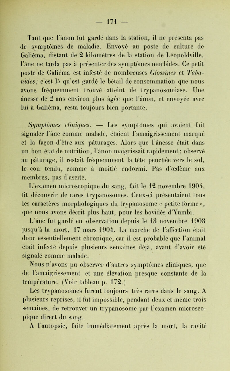 Tant que l’ânon fut gardé dans la station, il ne présenta pas de symptômes de maladie. Envoyé au poste de culture de Galiéma, distant de 2 kilomètres de la station de Léopoldville, l’âne ne tarda pas à présenter des symptômes morbides. Ce petit poste de Galiéma est infesté de nombreuses Glossines et Taba- nides; c’est là qu’est gardé le bétail de consommation que nous avons fréquemment trouvé atteint de trypanosomiase. Une ânesse de 2 ans environ plus âgée que l’ànon, et envoyée avec lui à Galiéma, resta toujours bien portante. Symptômes cliniques. — Les symptômes qui avaient fait signaler l’âne comme malade, étaient l’amaigrissement marqué et la façon d’être aux pâturages. Alors que l’ânesse était dans un bon état de nutrition, l’ânon maigrissait rapidement ; observé au pâturage, il restait fréquemment la tête penchée vers le sol, le cou tendu, comme à moitié endormi. Pas d’œdème aux membres, pas d’ascite. L’examen microscopique du sang, fait le 12 novembre 1904, fit découvrir de rares trypanosomes. Ceux-ci présentaient tous les caractères morphologiques du trypanosome « petite forme», que nous avons décrit plus haut, pour les bovidés d’Yumbi. L’âne fut gardé en observation depuis le 13 novembre 1903 jusqu’à la mort, 17 mars 1904. La marche de l’affection était donc essentiellement chronique, car il est probable que l’animal était infecté depuis plusieurs semaines déjà, avant d’avoir été signalé comme malade. Nous n’avons pu observer d’autres symptômes cliniques, que de l’amaigrissement et une élévation presque constante de la température. (Voir tableau p. 172.) Les trypanosomes furent toujours très rares dans le sang. A plusieurs reprises, il fut impossible, pendant deux et même trois semaines, de retrouver un trypanosome par Texamen microsco- pique direct du sang. A l’autopsie, faite immédiatement après la mort, la cavité