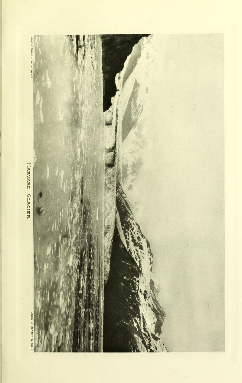Harvard Glacier
