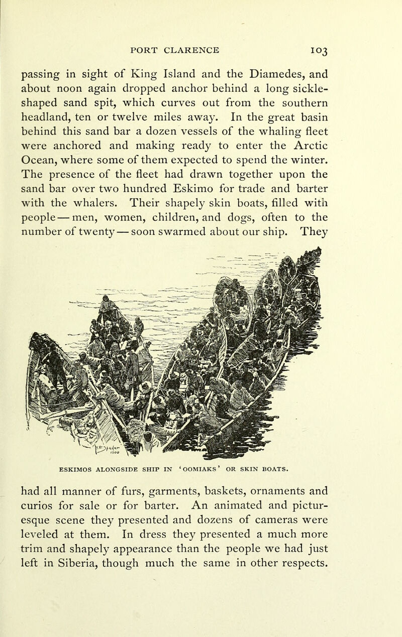 passing in sight of King Island and the Diamedes, and about noon again dropped anchor behind a long sickle- shaped sand spit, which curves out from the southern headland, ten or twelve miles away. In the great basin behind this sand bar a dozen vessels of the whaling fleet were anchored and making ready to enter the Arctic Ocean, where some of them expected to spend the winter. The presence of the fleet had drawn together upon the sand bar over two hundred Eskimo for trade and barter with the whalers. Their shapely skin boats, filled with people—men, women, children, and dogs, often to the number of twenty— soon swarmed about our ship. They ESKIMOS ALONGSIDE SHIP IN ‘ OOMIAKS ’ OR SKIN BOATS. had all manner of furs, garments, baskets, ornaments and curios for sale or for barter. An animated and pictur- esque scene they presented and dozens of cameras were leveled at them. In dress they presented a much more trim and shapely appearance than the people we had just left in Siberia, though much the same in other respects.