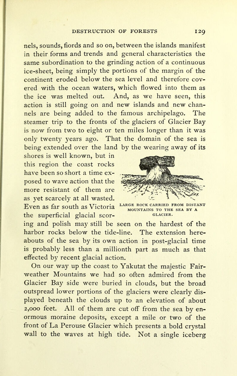 nels, sounds, fiords and so on, between the islands manifest in their forms and trends and general characteristics the same subordination to the grinding action of a continuous ice-sheet, being simply the portions of the margin of the continent eroded below the sea level and therefore cov- ered with the ocean waters, which flowed into them as the ice was melted out. And, as we have seen, this action is still going on and new islands and new chan- nels are being added to the famous archipelago. The steamer trip to the fronts of the glaciers of Glacier Bay is now from two to eight or ten miles longer than it was only twenty years ago. That the domain of the sea is being extended over the land by the wearing away of its shores is well known, but in this region the coast rocks have been so short a time ex- posed to wave action that the more resistant of them are as yet scarcely at all wasted. Fvf^n far Qmith ac ViVtnria large rock carried from distant ilven as lar soutn as v ictoria mountains to the sea by a the superficial glacial scor- glacier. ing and polish may still be seen on the hardest of the harbor rocks below the tide-line. The extension here- abouts ol the sea by its own action in post-glacial time is probably less than a millionth part as much as that effected by recent glacial action. On our way up the coast to Yakutat the majestic Fair- weather Mountains we had so often admired from the Glacier Bay side were buried in clouds, but the broad outspread lower portions of the glaciers were clearly dis- played beneath the clouds up to an elevation of about 2,000 feet. All of them are cut off from the sea by en- ormous moraine deposits, except a mile or two of the front of La Perouse Glacier which presents a bold crystal wall to the waves at high tide. Not a single iceberg