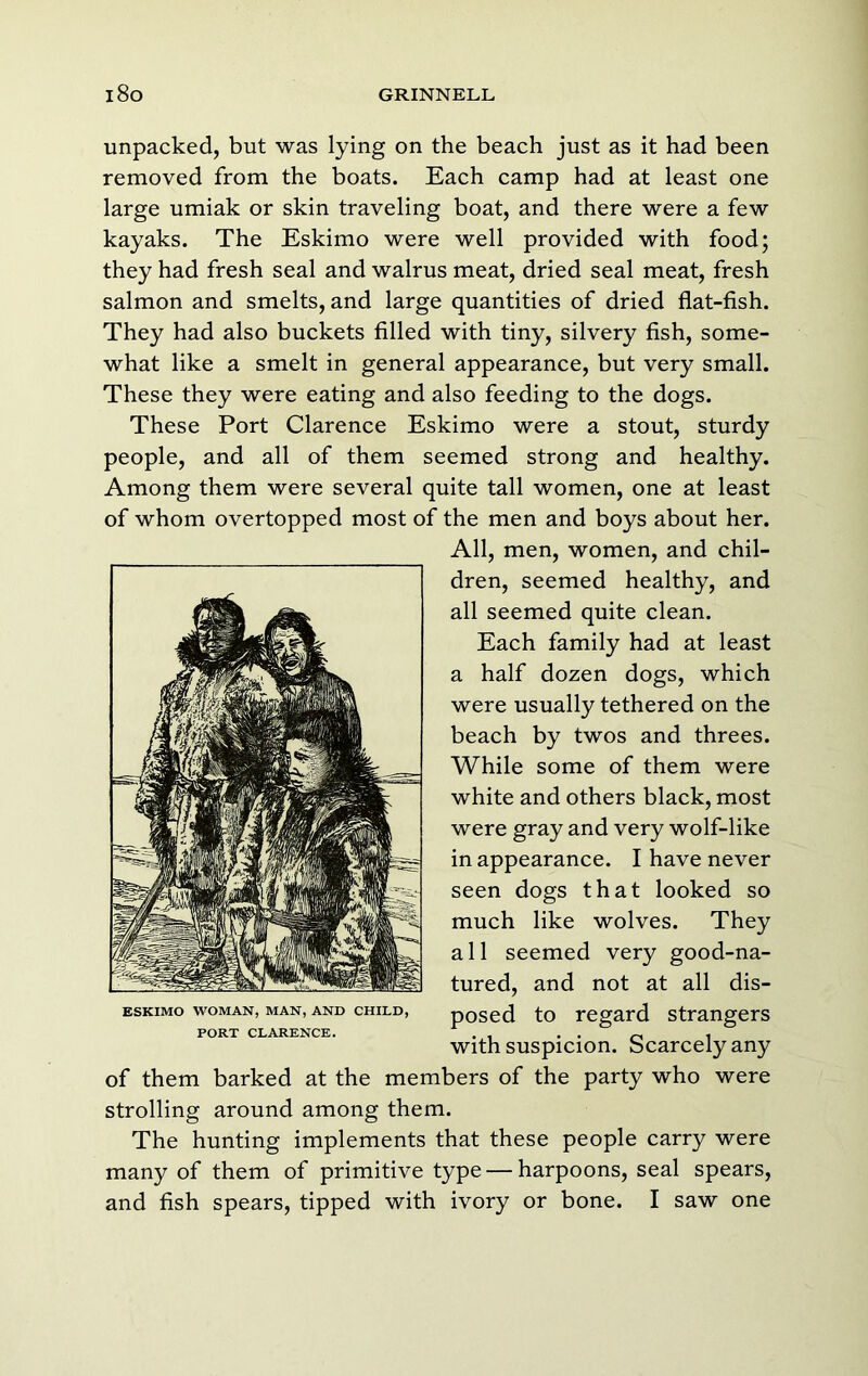 unpacked, but was lying on the beach just as it had been removed from the boats. Each camp had at least one large umiak or skin traveling boat, and there were a few kayaks. The Eskimo were well provided with food; they had fresh seal and walrus meat, dried seal meat, fresh salmon and smelts, and large quantities of dried flat-fish. They had also buckets filled with tiny, silvery fish, some- what like a smelt in general appearance, but very small. These they were eating and also feeding to the dogs. These Port Clarence Eskimo were a stout, sturdy people, and all of them seemed strong and healthy. Among them were several quite tall women, one at least of whom overtopped most of the men and boys about her. All, men, women, and chil- dren, seemed healthy, and all seemed quite clean. Each family had at least a half dozen dogs, which were usually tethered on the beach by twos and threes. While some of them were white and others black, most were gray and very wolf-like in appearance. I have never seen dogs that looked so much like wolves. They all seemed very good-na- tured, and not at all dis- posed to regard strangers with suspicion. Scarcely any of them barked at the members of the party who were strolling around among them. The hunting implements that these people carry were many of them of primitive type — harpoons, seal spears, and fish spears, tipped with ivory or bone. I saw one