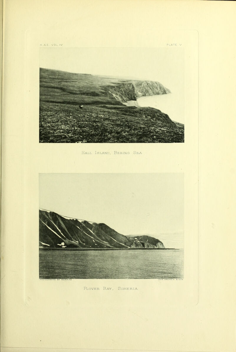 H.A.E. VOL.IV PLATE V Plover Bay, Siberia