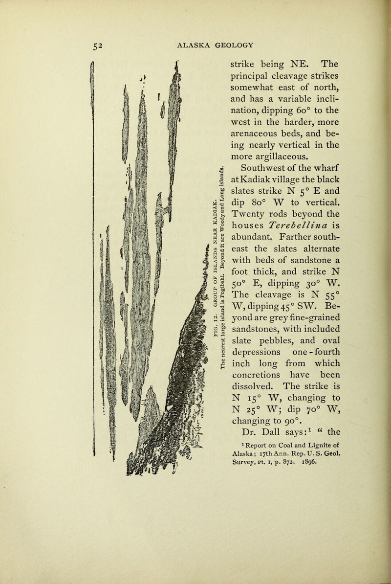 strike being NE. The principal cleavage strikes somewhat east of north, and has a variable incli- nation, dipping 6o° to the west in the harder, more arenaceous beds, and be- ing nearly vertical in the more argillaceous. Southwest of the wharf at Kadiak village the black slates strike N 50 E and dip 8o° W to vertical. Twenty rods beyond the houses Terebellina is abundant. Farther south- east the slates alternate with beds of sandstone a foot thick, and strike N 50° E, dipping 30° W. The cleavage is N 550 W, dipping 45 0 SW. Be- yond are grey fine-grained sandstones, with included slate pebbles, and oval depressions one-fourth inch long from which concretions have been dissolved. The strike is N 150 W, changing to N 250 W; dip 70° W, changing to 90°. Dr. Dali says:1 “ the 1 Report on Coal and Lignite of Alaska; 17th Ann. Rep. U. S. Geol. Survey, Pt. I, p. 872. 1896.