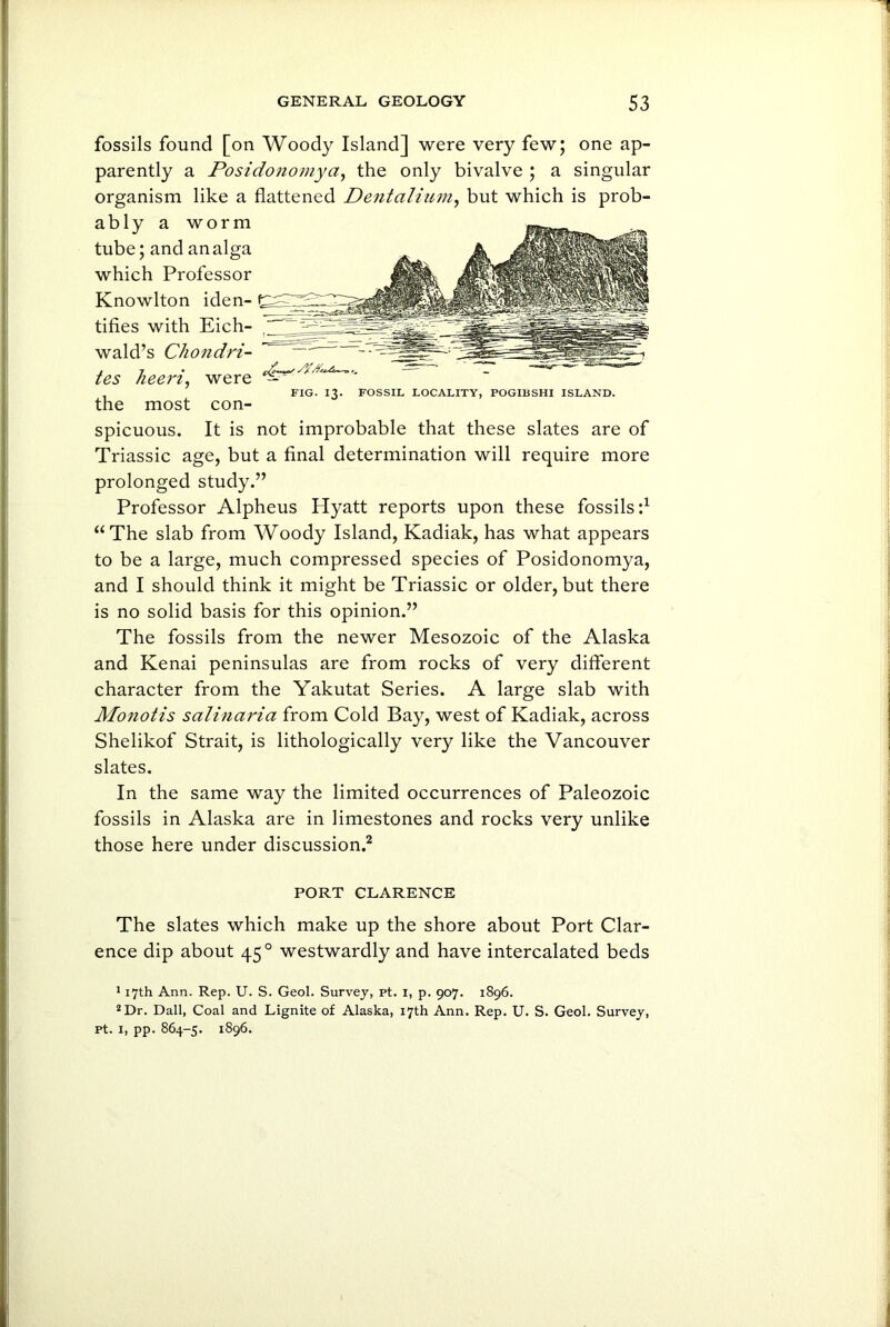 fossils found [on Woody Island] were very few; one ap- parently a Posidonomya, the only bivalve ; a singular organism like a flattened Dentcilium, but which is prob- ably a worm tube; and an alga which Professor Knowlton iden- tifies with Eich- wald’s Chondri- tes heeri, were the most con- spicuous. It is not improbable that these slates are of yy... — * _ FIG. 13. FOSSIL LOCALITY, POGIBSHI ISLAND. Triassic age, but a final determination will require more prolonged study.” Professor Alpheus Hyatt reports upon these fossils:1 “The slab from Woody Island, Kadiak, has what appears to be a large, much compressed species of Posidonomya, and I should think it might be Triassic or older, but there is no solid basis for this opinion.” The fossils from the newer Mesozoic of the Alaska and Kenai peninsulas are from rocks of very different character from the Yakutat Series. A large slab with Monotis salinaria from Cold Bay, west of Kadiak, across Shelikof Strait, is lithologically very like the Vancouver slates. In the same way the limited occurrences of Paleozoic fossils in Alaska are in limestones and rocks very unlike those here under discussion.2 PORT CLARENCE The slates which make up the shore about Port Clar- ence dip about 45 0 westwardly and have intercalated beds 117th Ann. Rep. U. S. Geol. Survey, pt. i, p. 907. 1896. 2 Dr. Dali, Coal and Lignite of Alaska, 17th Ann. Rep. U. S. Geol. Survey, pt. 1, pp. 864-5. 1896.