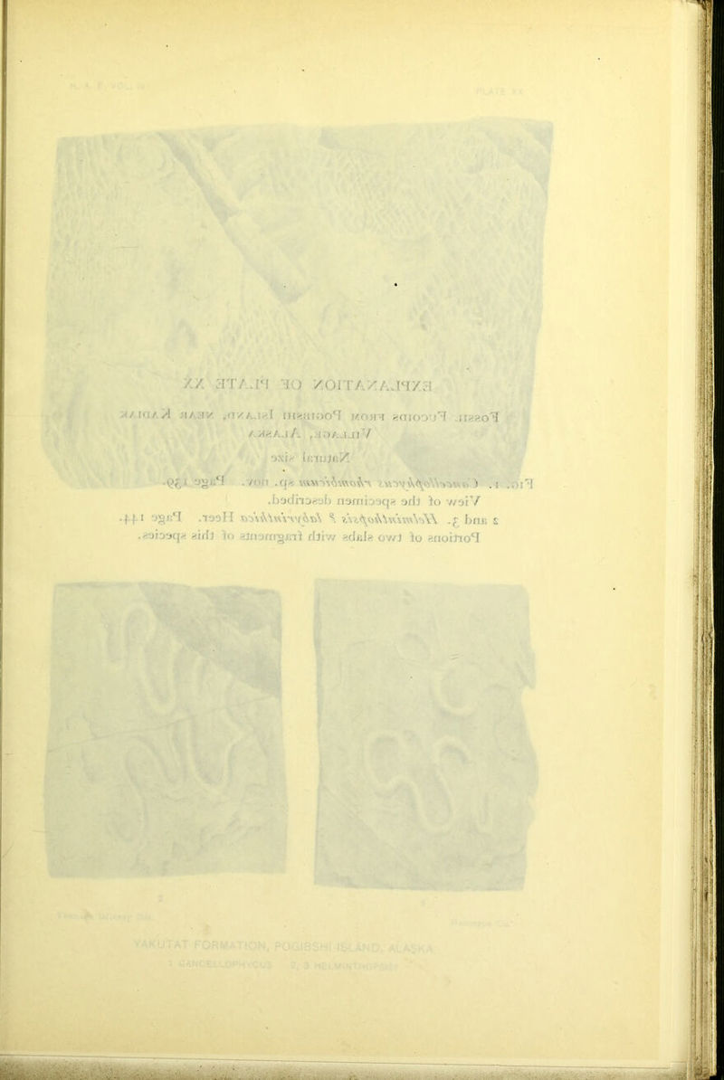 ' /./. rio /on / .'/in/ A :i/ :iv. I ni>.ni;)OfT j/.om-i aciioovf unao’’! ax^ajA r K>/.jmT/ ‘jxi^ InmJfiM 336*3 .yon .q« . \svrs\\...\Vv-,vo ) . •'! .badnoaob narriioaqa orb io v/oiV -4-4-1 .13311 1 ?At^o^W\wVA\ .£ bns s .aobaq* abb io ainorngmi rbiv/ adrda ov/J io anobto*!