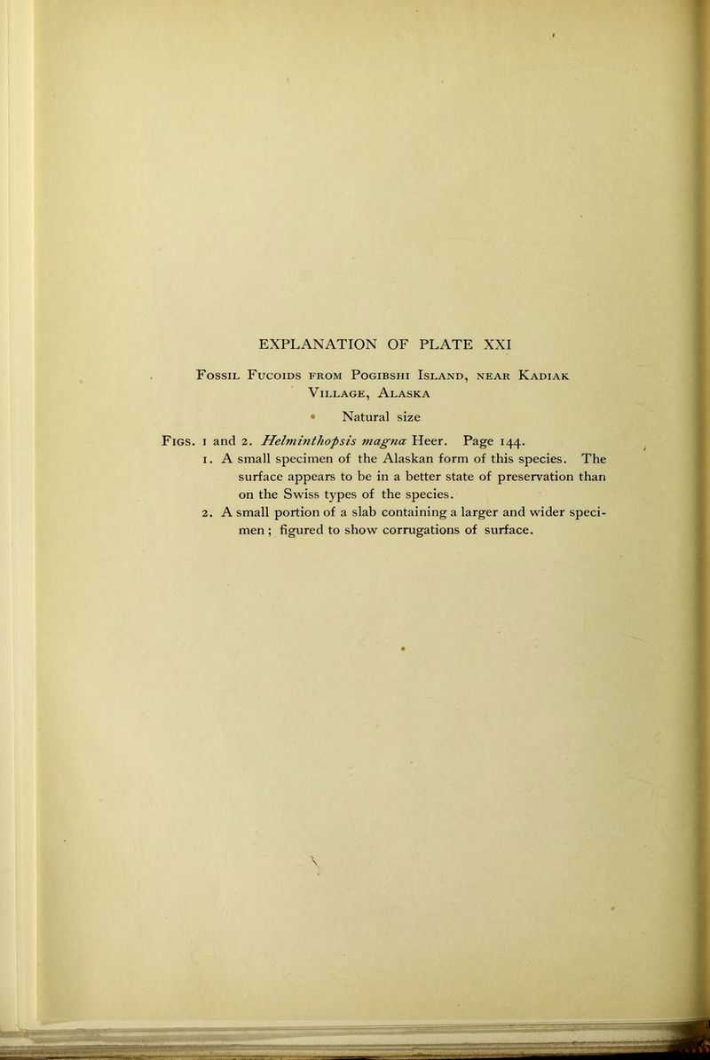 Fossil Fucoids from Pogibshi Island, near Kadiak Village, Alaska • Natural size Figs, i and 2. Helviinthoftsis magna Heer. Page 144. 1. A small specimen of the Alaskan form of this species. The surface appears to be in a better state of preservation than on the Swiss types of the species. 2. A small portion of a slab containing a larger and wider speci- men ; figured to show corrugations of surface.