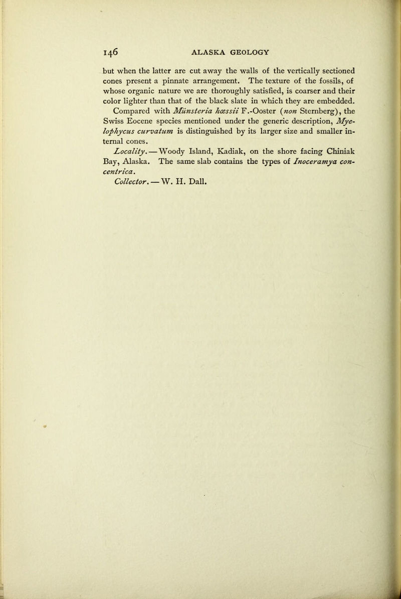 but when the latter are cut away the walls of the vertically sectioned cones present a pinnate arrangement. The texture of the fossils, of whose organic nature we are thoroughly satisfied, is coarser and their color lighter than that of the black slate in which they are embedded. Compared with Miinsteria hcessii F.-Ooster (non Sternberg), the Swiss Eocene species mentioned under the generic description, Mye- lophycus curvatum is distinguished by its larger size and smaller in- ternal cones. Locality. — Woody Island, Kadiak, on the shore facing Chiniak Bay, Alaska. The same slab contains the types of Inoceramya con- cent rica. Collector. — W. H. Dali.