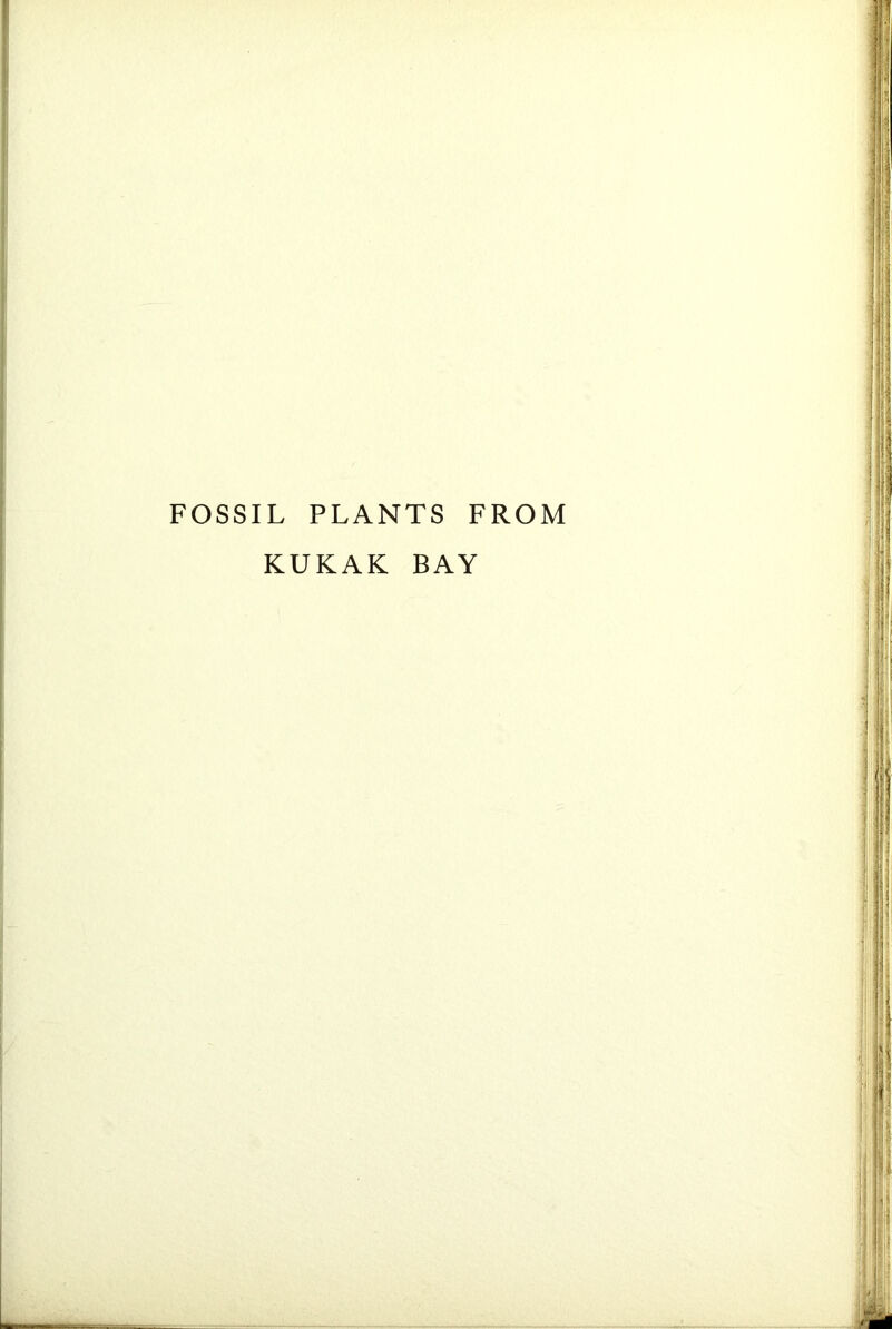 FOSSIL PLANTS FROM KUKAK BAY
