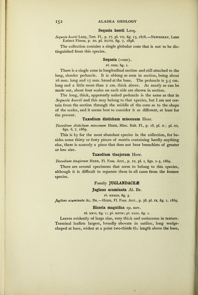 Sequoia heerii Lesq. Sequoia heerii LESQ.,Tert. FI., p. 77, pi. vii, fig. 13, 1878.—Newberry, Later Extinct Floras, p. 20, pi. xlvii, fig. 7, 1898. The collection contains a single globular cone that is not to be dis- tinguished from this species. Sequoia (cone). pi. XXII, fig. 1. There is a single cone in longitudinal section and still attached to the long, slender peduncle. It is oblong as seen in section, being about 16 mm. long and 15 mm. broad at the base. The peduncle is 3.5 cm. long and a little more than 2 cm. thick above. As nearly as can be made out, about four scales on each side are shown in section. The long, thick, apparently naked peduncle is the same as that in Sequoia heerii and this may belong to that species, but I am not cer- tain from the section through the middle of the cone as to the shape of the scales, and it seems best to consider it as different, at least for the present. Taxodium distichum miocenum Heer. Taxodiutn distichum miocenum Heer, Mioc. Balt. FI., p. 18, pi. n ; pi. in, figs. 6, 7, 1869. This is by far the most abundant species in the collection, for be- sides some thirty or forty pieces of matrix containing hardly anything else, there is scarcely a piece that does not bear branchlets of greater or less size. Taxodium tinajorum Heer. Taxodium tinajorum Heer, FI. Foss. Arct., p. 22, pi. 1, figs. 1-5, 1869. There are several specimens that seem to belong to this species, although it is difficult to separate them in all cases from the former species. Family JU GLAND ACE.® Juglans acuminata Al. Br. pi. xxxiii, fig. 3. Juglans acuminata Al. Br.—Heer, FI. Foss. Arct., p. 38, pi. ix, fig. 1, 1869. Hicoria magnifica sp. nov. Pl. xxvi, fig. 1; pi. xxvn; pi. xxix, fig. 1. Leaves evidently of large size, very thick and coriaceous in texture. Terminal leaflets largest, broadly obovate in outline, long wedge- shaped at base, widest at a point two-thirds the length above the base,