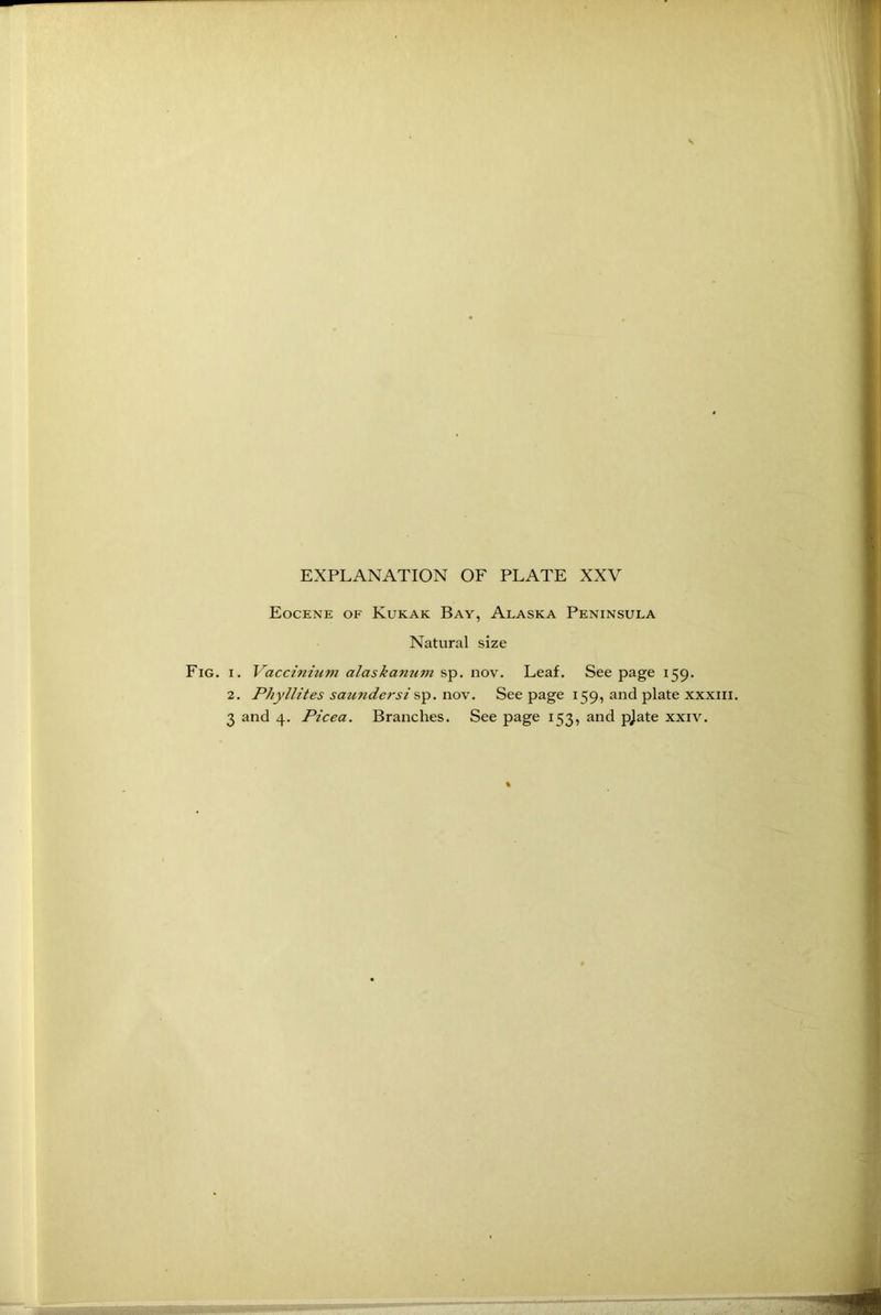 Eocene of Kukak Bay, Alaska Peninsula Natural size Fig. i. Vaccinium alaskanum sp. nov. Leaf. See page 159. 2. Phyllites saundersi sp. nov. See page 159, and plate xxxm.