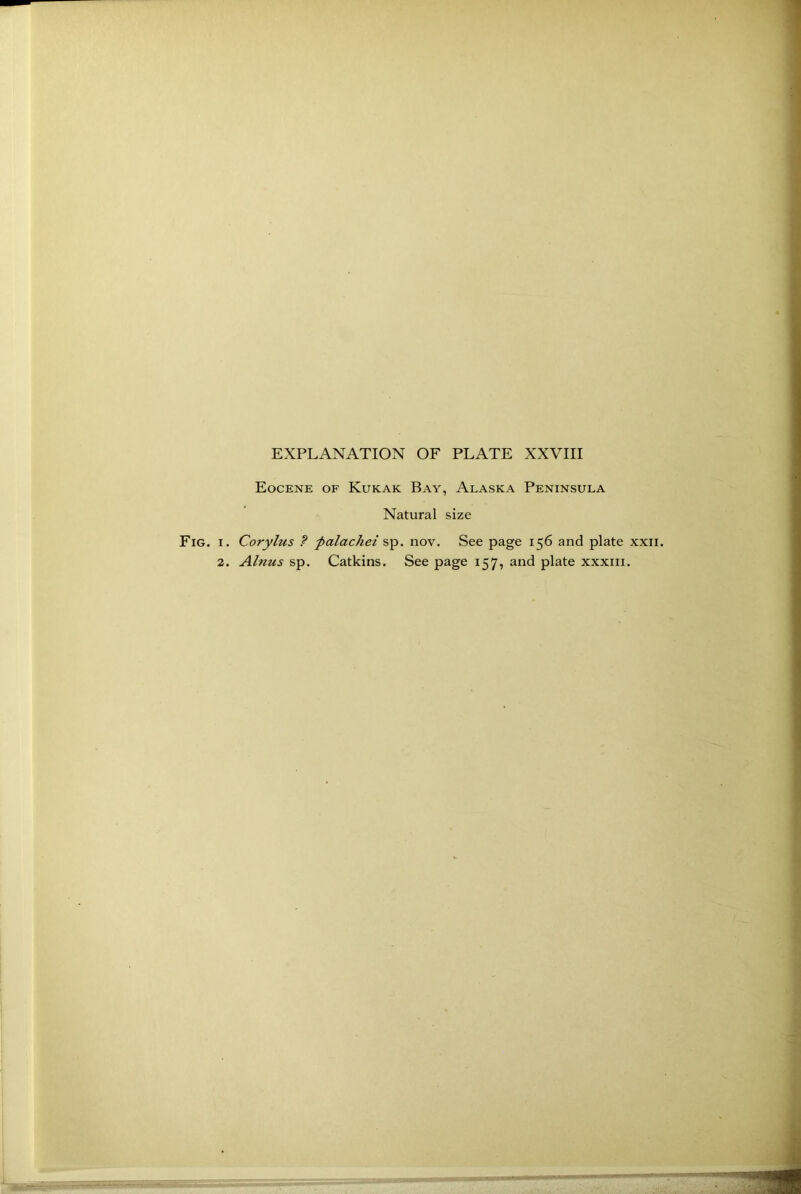 Eocene of Kukak Bay, Alaska Peninsula Natural size Fig. i. Corylus ? palachei sp. nov. See page 156 and plate xxii. 2. Alnus sp. Catkins. See page 157, and plate xxxm.