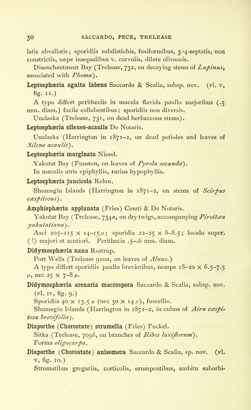 latis obvallatis; sporidiis subdisticliis, fusiformibus, 3-4-septatis, non constrictis, stepe insequalibus v. curvulis, dilute olivaceis. Disenchantment Bay (Trelease, 732, on decaying stems of Lufinus^ associated with Phoma), Leptosphaeria agnita labens Saccardo & Scalia, subsp. nov. (p1. v, fig. II.) A typo differt peritheciis in macula flavida paullo majoribus (.5 mm. diam.) facile collabentibus; sporidiis non diversis. Unalaska (Trelease, 73dead herbaceous stems). Leptosphaeria silenes-acaulis De Notaris. Unalaska (Harrington in 1871-2, on dead petioles and leaves of Silene acaulis'), Leptosphaeria marginata Niessl. Yakutat Bay (Funston, on leaves of Pyrola secunda). In maculis atris epiphyllis, rarius hypophyllis. Leptosphaeria juncicola Rehm. Shumagin Islands (Harrington in 1871—2, on stems of Scirpus ccBspitosus). Amphisphaeria applanata (Fries) Cesati & De Notaris. Yakutat Bay (Trelease, 734^? twigs, accompanying Pirott(£a yakutatiand), Asci 105-115 X 14-15//.; sporidia 22-25 X S-8.5 ; loculo super. ( !) majori et acutiori. Perithecia .5—.6 mm. diam, Didymosphaeria nana Rostrup. Port Wells (Trelease 910a, on leaves of Ahtus.') A typo differt sporidiis paullo brevioribus, nempe 18-20 X 6.5-7.5 //, nec 25 X 7-8 11, Didymosphaeria arenaria macrospora Saccardo & Scalia, subsp. nov. (p1. IV, fig. 9.) Sporidiis 40 X 13*5 (nec 30 X 14 //-), fuscellis. Shumagin Islands (Harrington in 1871-2, in culms of Aira ccESpi- tosa brevifoUa). Diaporthe (Chorostate) strumella (Fries) Fuckel. Sitka (Trelease, 709^, on branches of Ribes laxiJloru7n), Forma oligocarpa. Diaporthe (Chorostate) anisomera Saccardo & Scalia, sp. nov. (p1. V, fig. 10.) Stromatibus gregariis, corticolis, erumpentibus, ambitu suborbi-