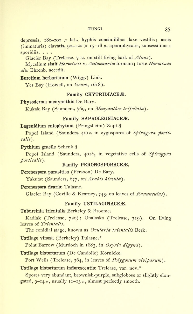 depressis, 180-200 fj. lat., hyphis consimilibus laxe vestitis; ascis (immaturis) clavatis, 90-120 x 15-18 aparaphysatis, subsessilibus; sporidiis. . . . Glacier Bay (Trelease, 712, on still living bark of Alnus'), Mycelium sistit Hormiscii v. AnteiinaricB formam; forte Hormiscio alto Ehrenb. accedit. Eurotium herbariorum (Wigg.) Link. Yes Bay (Howell, on Geum^ 1618). Family CHYTRIDIACE^. Physoderma menyanthis De Bary. Kukak Bay (Saunders, 769, on Alenyanthes trifoliata'). Family SAPROLEGNIACE^. Lagenidium entophytum (Pringsheim) Zopf.§ Popof Island (Saunders, 401c, in zygospores of Spirogyra porti- calls). Pythium gracile Schenk. § Popof Island (Saunders, 4015, in vegetative cells of Spirogyra porticalis). Family PERONOSPORACE^. Peronospora parasitica (Persoon) De Bary. Yakutat (Saunders, 677, on Arabis hirsuta), Peronospora ficariae Tulasne. Glacier Bay (Coville & Kearney, 743, on leaves of Ranuncuhis), Family USTILAGINACEiE. Tuburcinia trientalis Berkeley & Broome. Kadiak (Trelease, 720) ; Unalaska (Trelease, 719). On living leaves of Trientalis. The conidial stage, known as Ovularia trientalis Berk. UstilagO vinosa (Berkeley) Tulasne.* Point Barrow (Murdoch in 1883, in Oxyria digyna). UstilagO bistortarum (De Candolle) Kornicke. Port Wells (Trelease, 764, in leaves of Polygonum viviparum), UstilagO bistortarum inflorescentiae Trelease, var. nov.* Spores very abundant, brownish-purple, subglobose or slightly elon- gated, 9-14//, usually 11-13 almost perfectly smooth.