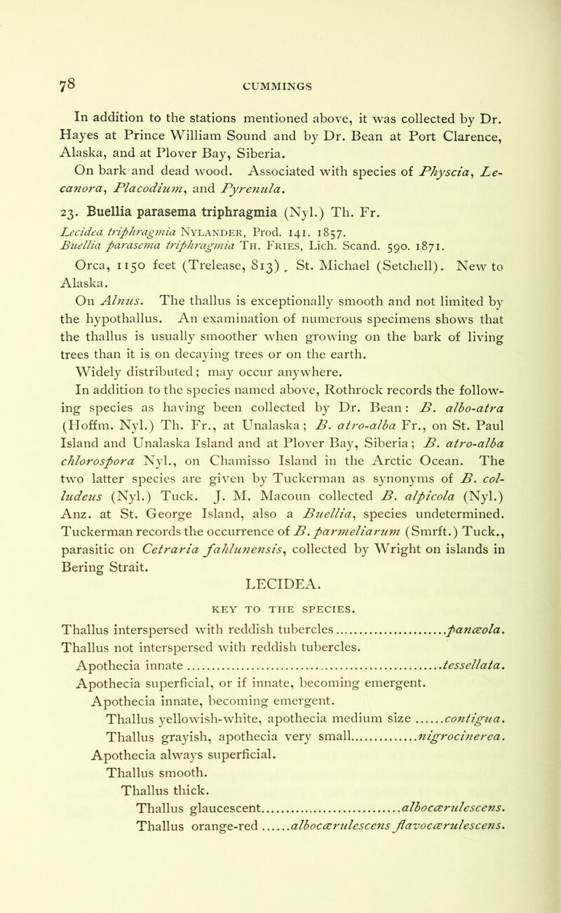 In addition to the stations mentioned above, it w^as collected by Dr. Hayes at Prince William Sound and by Dr. Bean at Port Clarence, Alaska, and at Plover Bay, Siberia. On bark and dead wood. Associated with species of Physcia^ Le- canora^ Placodium^ and Pyrenula, 23. Buellia parasema triphragmia (Nyl.) Th. Fr. Lecidea triphragmia Nylander, Prod. 141. 1857. Buellia parasema triphragmia Th. Fries, Lich. Scand. 590. 1871. Orca, 1150 feet (Trelease, 813) , St. Michael (Setchell). New to Alaska. On Almis. The thallus is exceptionally smooth and not limited by the hypothallus. An examination of numerous specimens shows that the thallus is usually smoother when growing on the bark of living trees than it is on decaying trees or on the earth. Widely distributed; may occur anywhere. In addition to the species named above, Rothrock records the follow- ing species as having been collected by Dr. Bean: B. albo-atra (Hoffm. Nyl.) Th. Fr., at Unalaska; B. atro-alba Fr., on St. Paul Island and Unalaska Island and at Plover Bay, Siberia; B. atro-alba chlorospora Nyl., on Chamisso Island in the Arctic Ocean. The two latter species are given by Tuckerman as synonyms of B. col- ludetis (Nyl.) Tuck. J. M. Macoun collected B. alpicola (Nyl.) Anz. at St. George Island, also a Buellia^ species undetermined. Tuckerman records the occurrence of B. par7nelia7‘U7n (Smrft.) Tuck., parasitic on Cetraria fahhine7tsis^ collected by Wright on islands in Bering Strait. LECIDEA. KEY^ TO THE SPECIES. Thallus interspersed with reddish tubercles panceola. Thallus not interspersed with reddish tubercles. Apothecia innate tessellata. Apothecia superficial, or if innate, becoming emergent. Apothecia innate, becoming emergent. Thallus yellowish-white, apothecia medium size coTztigua. Thallus grayish, apothecia very small nigrocinerea. Apothecia alwa}^s superficial. Thallus smooth. Thallus thick. Thallus glaucescent alboccerulesceTts. Thallus orange-red alboccertdesceTts JlavoccErulesceTis.