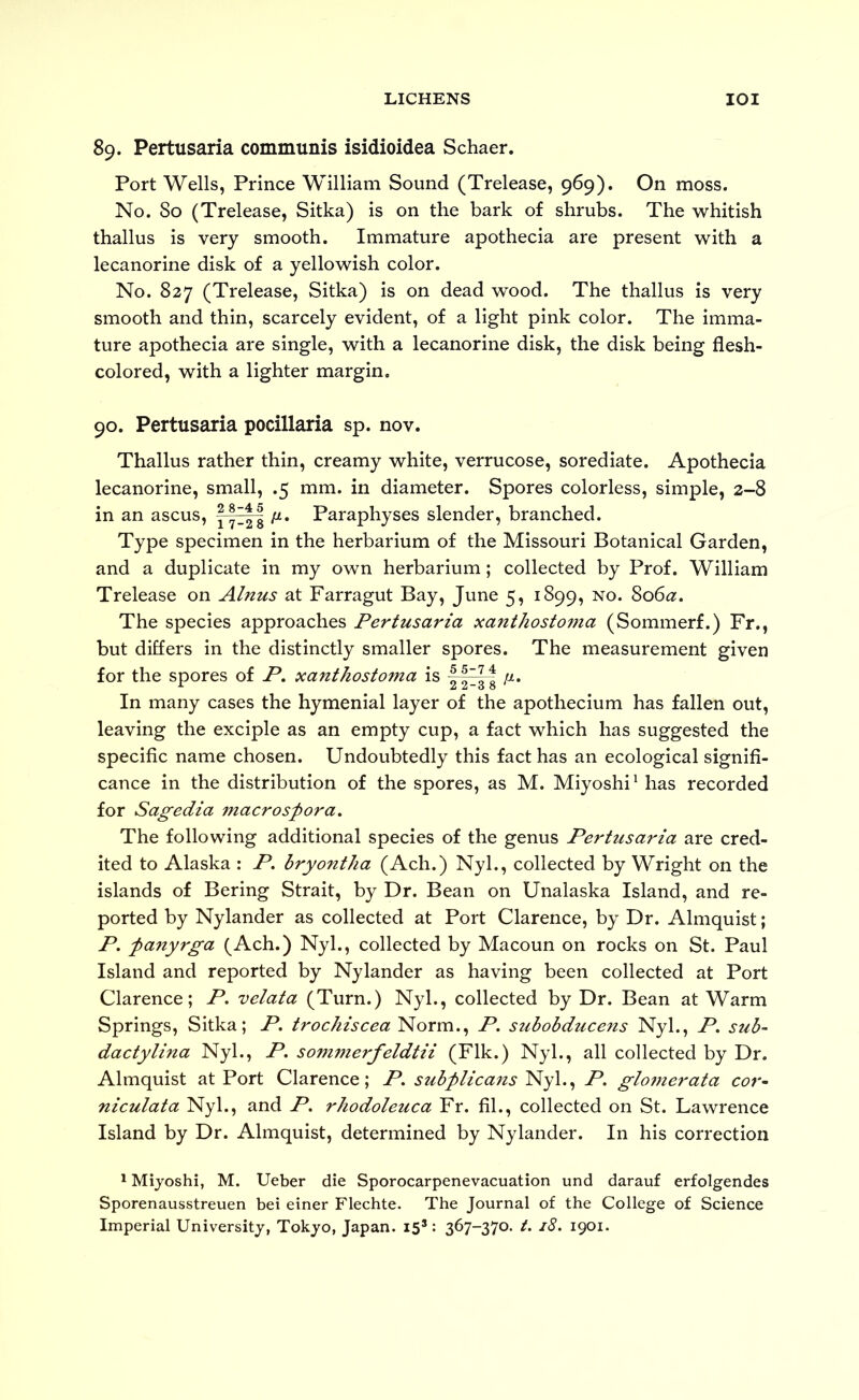 89. Pertusaria communis isidioidea Schaer. Port Wells, Prince William Sound (Trelease, 969). On moss. No. 80 (Trelease, Sitka) is on the bark of shrubs. The whitish thallus is very smooth. Immature apothecia are present with a lecanorine disk of a yellowish color. No. 827 (Trelease, Sitka) is on dead wood. The thallus is very smooth and thin, scarcely evident, of a light pink color. The imma- ture apothecia are single, with a lecanorine disk, the disk being flesh- colored, with a lighter margin. 90. Pertusaria pocillaria sp. nov. Thallus rather thin, creamy white, verrucose, sorediate. Apothecia lecanorine, small, .5 mm. in diameter. Spores colorless, simple, 2-8 in an ascus, Paraphyses slender, branched. Type specimen in the herbarium of the Missouri Botanical Garden, and a duplicate in my own herbarium; collected by Prof. William Trelease on Alnus at Farragut Bay, June 5, 1899, no. So6a. The species approaches Pertusaria xanthostoina (Sommerf.) Fr., but differs in the distinctly smaller spores. The measurement given for the spores of P. xanthostoma is At* In many cases the hymenial layer of the apothecium has fallen out, leaving the exciple as an empty cup, a fact which has suggested the specific name chosen. Undoubtedly this fact has an ecological signifi- cance in the distribution of the spores, as M. Miyoshi^ has recorded for Sagedia macrospora. The following additional species of the genus Pertusaria are cred- ited to Alaska : P, hryontha (Ach.) Nyl., collected by Wright on the islands of Bering Strait, by Dr. Bean on Unalaska Island, and re- ported by Nylander as collected at Port Clarence, by Dr. Almquist; P. panyrga (Ach.) Nyl., collected by Macoun on rocks on St. Paul Island and reported by Nylander as having been collected at Port Clarence; P. velata (Turn.) Nyl., collected by Dr. Bean at Warm Springs, Sitka; P. trochiscea Norm., P. suhobducens Nyl., P. sub- dactylina Nyl., P. sommerfeldtii (Flk.) Nyl., all collected by Dr. Almquist at Port Clarence; P. subplicaizs Nyl., P. glo77ierata cor- Tiiculata Nyl., and P, rhodoleuca Fr. fil., collected on St. Lawrence Island by Dr. Almquist, determined by Nylander. In his correction ^ Mijoshi, M. Ueber die Sporocarpenevacuation und darauf erfolgendes Sporenausstreuen bei einer Flechte. The Journal of the College of Science Imperial University, Tokyo, Japan. 15*: 367-370. /. 18. 1901.