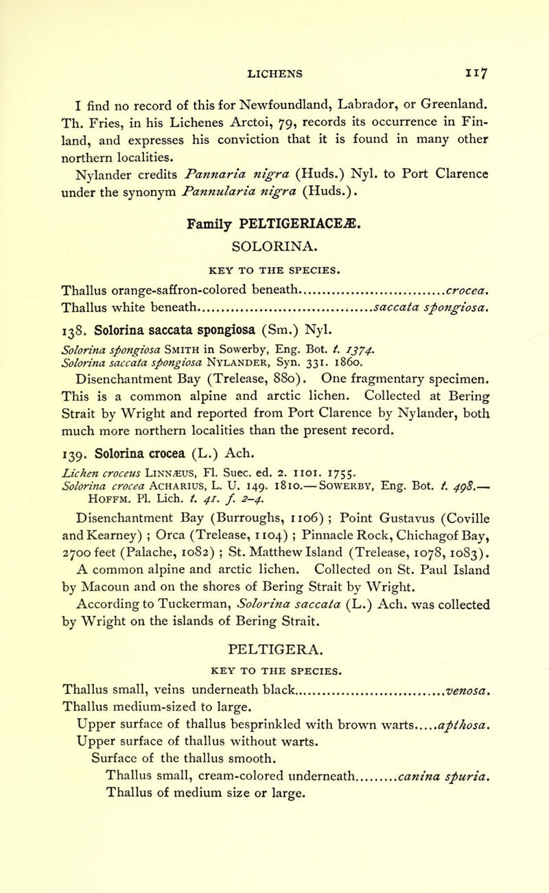 I find no record of this for Newfoundland, Labrador, or Greenland. Th. Fries, in his Lichenes Arctoi, 79, records its occurrence in Fin- land, and expresses his conviction that it is found in many other northern localities. Nylander credits Pannarta nigra (Huds.) Nyl. to Port Clarence under the synonym Pannularia nigra (Huds.). Family PELTIGERIACE^. SOLORINA. KEY TO THE SPECIES. Thallus orange-saffron-colored beneath crocea, Thallus white beneath saccata spongiosa. 138. Solorina saccata spongiosa (Sm.) Nyl. Solorina spongiosa Smith in Sowerby, Eng. Bot. t. 1374. Solorina saccata spongiosa Nylander, Syn. 331. i860. Disenchantment Bay (Trelease, 880). One fragmentary specimen. This is a common alpine and arctic lichen. Collected at Bering Strait by Wright and reported from Port Clarence by Nylander, both much more northern localities than the present record. 139. Solorina crocea (L.) Ach. Lichen croceus Linn^us, FI. Suec. ed. 2. lioi. 1755. Solorina crocea Acharius, L. U. 149. 1810.— Sowerby, Eng. Bot. t. 4gS.— Hoffm. PI. Lich. t. 41. /. 2-4. Disenchantment Bay (Burroughs, 1106); Point Gustavus (Coville and Kearney) ; Orca (Trelease, 1104) ; Pinnacle Rock, Chichagof Bay, 2700 feet (Palache, 1082) ; St. Matthew Island (Trelease, 1078, 1083). A common alpine and arctic lichen. Collected on St. Paul Island by Macoun and on the shores of Bering Strait by Wright. According to Tuckerman, Solorina saccata (L.) Ach. was collected by Wright on the islands of Bering Strait. PELTIGERA. KEY TO THE SPECIES. Thallus small, veins underneath black venosa, Thallus medium-sized to large. Upper surface of thallus besprinkled with brown warts aptkosa. Upper surface of thallus without warts. Surface of the thallus smooth. Thallus small, cream-colored underneath canina spuria, Thallus of medium size or large.