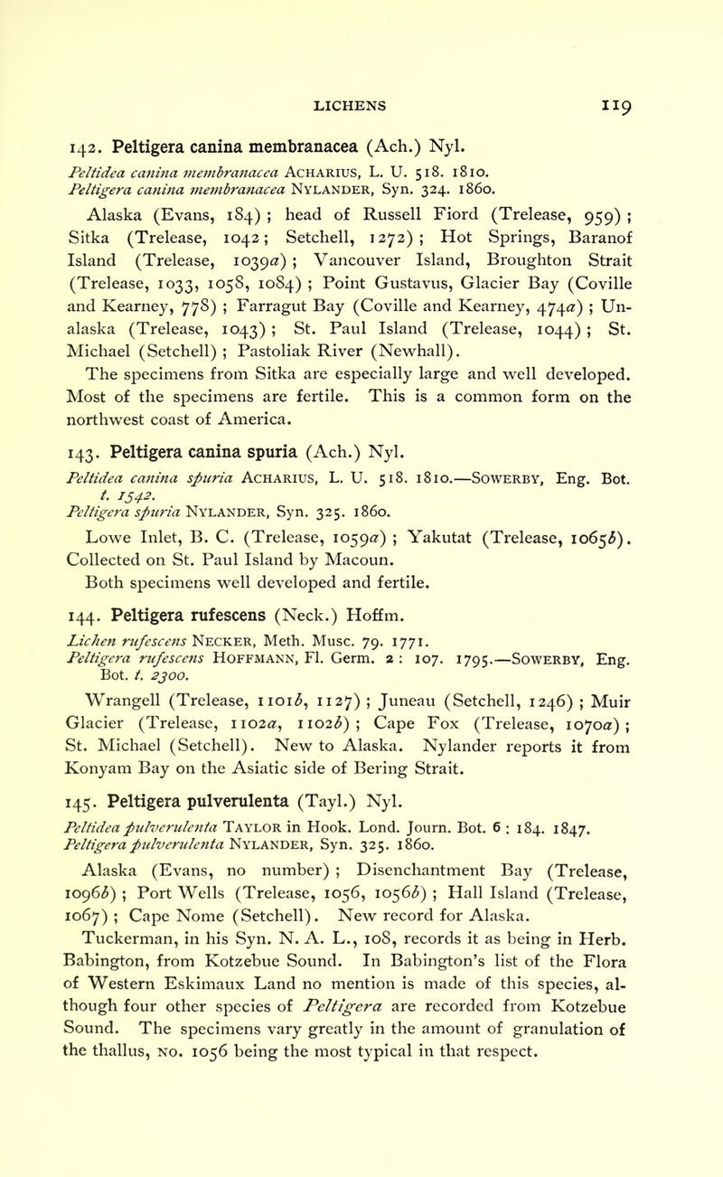 143. Peltigera canina membranacea (Ach.) Nyl. Peltidea canina 7nembranacea Acharius, L. U. 518. 1810. Peltigera cariina mefnbranacea Nylander, Syn. 324. i860. Alaska (Evans, 184) ; head of Russell Fiord (Trelease, 959) ; Sitka (Trelease, 1042; Setchell, 1272); Hot Springs, Baranof Island (Trelease, 1039(2) ; Vancouver Island, Broughton Strait (Trelease, 1033, 1058, 1084) ; Point Gustavus, Glacier Bay (Coville and Kearney, 778) ; Farragut Bay (Coville and Kearney, 474^^) ; Un- alaska (Trelease, 1043) ; St. Paul Island (Trelease, 1044) ; St. Michael (Setchell) ; Pastoliak River (Newhall). The specimens from Sitka are especially large and vYell developed. Most of the specimens are fertile. This is a common form on the northw^est coast of America. 143. Peltigera canina spuria (Ach.) Nyl. Peltidea cajima spuria Acharius, L. U. 518. 1810.—Sowerby, Eng. Bot. 1542. Peltigera spuria Syn. 325. i860. Lowe Inlet, B. C. (Trelease, 1059(2) ; Yakutat (Trelease, 1065^). Collected on St. Paul Island by Macoun. Both specimens well developed and fertile. 144. Peltigera rufescens (Neck.) Hoffm. Lichen rufescens Necker, Meth. Muse. 79. 1771. Peltigera rufescens Hoffmann, FI. Germ. 2 : 107. 1795.—Sowerby, Eng. Bot. t. 2J00. Wrangell (Trelease, iioi3, 1127) ; Juneau (Setchell, 1246) ; Muir Glacier (Trelease, 1102^?, 1102b) \ Cape Fox (Trelease, lo^oa) \ St. Michael (Setchell). New to Alaska. Nylander reports it from Konyam Bay on the Asiatic side of Bering Strait. 145. Peltigera pulverulenta (Tayl.) Nyl. Peltidea pidvemdenta Taylor in Hook. Lond. Journ. Bot. 6 ; 184. 1847. Peltigera ptdveridenta Nylander, Syn. 325. i860. Alaska (Evans, no number) ; Disenchantment Bay (Trelease, 1096(5) ; Port Wells (Trelease, 1056, 1056(5) ; Hall Island (Trelease, 1067) ; Cape Nome (Setchell). New record for Alaska. Tuckerman, in his Syn. N. A. L., 108, records it as being in Herb. Babington, from Kotzebue Sound. In Babington’s list of the Flora of Western Eskimaux Land no mention is made of this species, al- though four other species of Peltigera are recorded from Kotzebue Sound. The specimens vary greatly in the amount of granulation of the thallus, no. 1056 being the most typical in that respect.