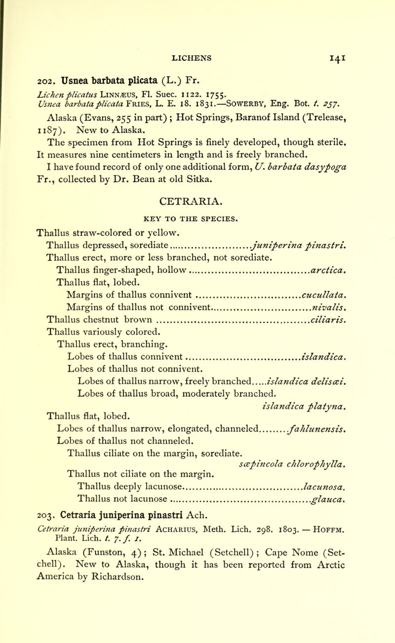 202. Usnea barbata plicata (L.) Fr. Lichen plicafus FI. Suec. 1122. 1755. Usnea barbata plicata Fries, L. E. 18. 1831.—Sowerby, Eng. Bot. t. 2^^, Alaska (Evans, 255 in part) ; Hot Springs, Baranof Island (Trelease, 1187). New to Alaska. The specimen from Hot Springs is finely developed, though sterile. It measures nine centimeters in length and is freely branched. I have found record of only one additional form, U. barbata dasypoga Fr., collected by Dr. Bean at old Sitka. CETRARIA. KEY TO THE SPECIES. Thallus straw-colored or yellow. Thallus depressed, sorediate .juniperina pinastri. Thallus erect, more or less branched, not sorediate. Thallus finger-shaped, hollow arctica, Thallus flat, lobed. Margins of thallus connivent cucullata. Margins of thallus not connivent nivalis» Thallus chestnut brown ciliaris. Thallus variously colored. Thallus erect, branching. Lobes of thallus connivent islandica. Lobes of thallus not connivent. Lobes of thallus narrow, freely branched islandica deliscei. Lobes of thallus broad, moderately branched. islandica platyna, Thallus flat, lobed. Lobes of thallus narrow, elongated, channeled .fahlunensis, Lobes of thallus not channeled. Thallus ciliate on the margin, sorediate. scepincola chlorophylla. Thallus not ciliate on the margin. Thallus deeply lacunose lacunosa. Thallus not lacunose glauca, 203. Cetraria juniperina pinastri Ach. Cetraria juniperina pinastri Acharius, Meth. Lich. 298. 1803. — Hoffm. Plant. Lich. /. 7./. i. Alaska (Funston, 4) ; St. Michael (Setchell) ; Cape Nome (Set- chell). New to Alaska, though it has been reported from Arctic America by Richardson.