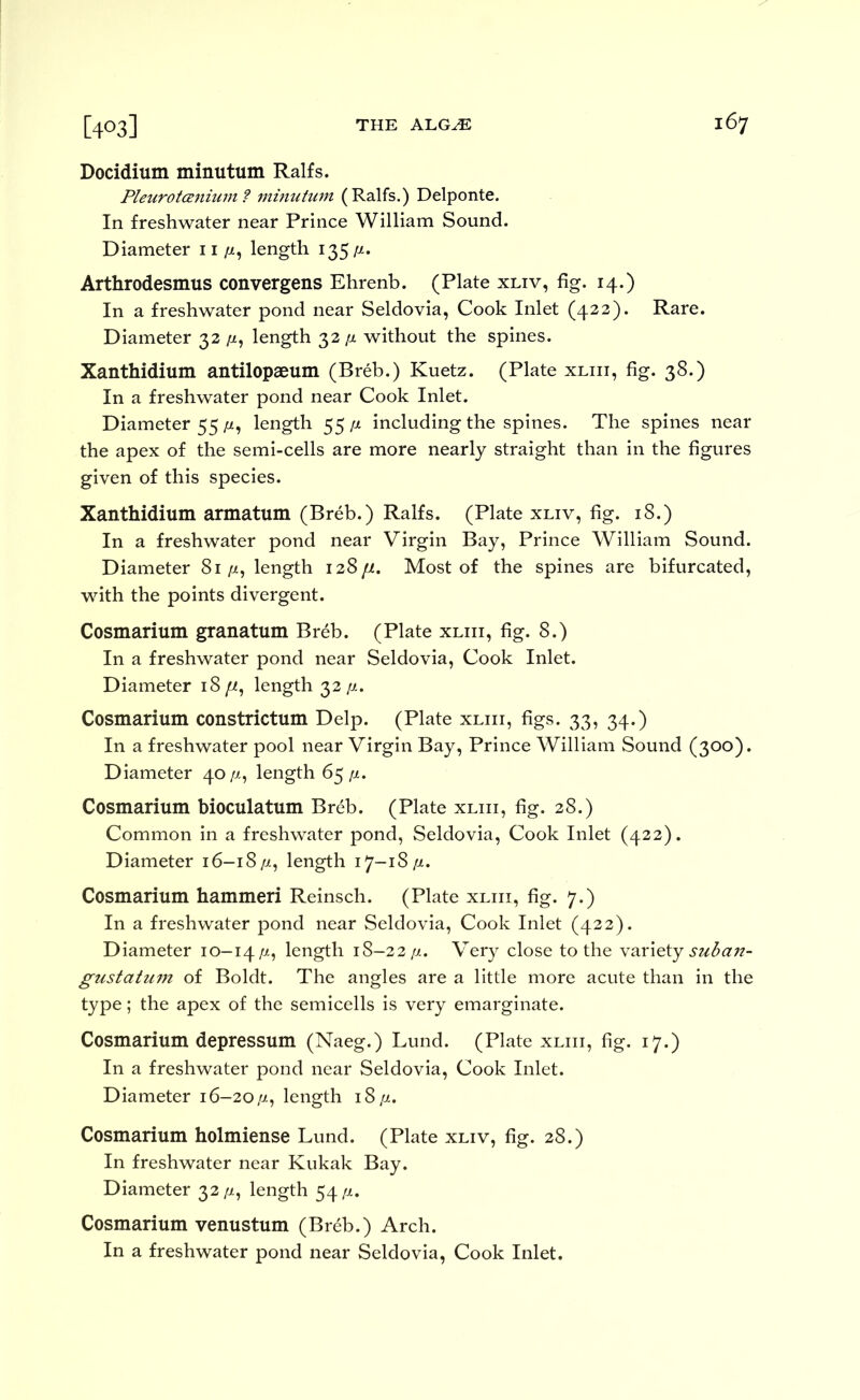 Docidium minutum Ralfs. PleurotcB7iium ? mimittun (Ralfs.) Delponte. In freshwater near Prince William Sound. Diameter 11//, length 135/^'* Arthrodesmus convergens Ehrenb. (Plate xliv, fig. 14.) In a freshwater pond near Seldovia, Cook Inlet (422). Rare. Diameter 32 /z, length 32/x without the spines. Xanthidium antilopaeum (Breb.) Kuetz. (Plate xliii, fig. 38.) In a freshwater pond near Cook Inlet. Diameter 55 length 55 jx including the spines. The spines near the apex of the semi-cells are more nearly straight than in the figures given of this species. Xanthidium armatum (Breb.) Ralfs. (Plate xliv, fig. 18.) In a freshwater pond near Virgin Bay, Prince William Sound. Diameter 81//, length 128//. Most of the spines are bifurcated, with the points divergent. Cosmarium granatum Breb. (Plate xliii, fig. 8.) In a freshwater pond near Seldovia, Cook Inlet. Diameter 18 //, length 32 }x. Cosmarium constrictum Delp. (Plate xliii, figs. 33, 34.) In a freshwater pool near Virgin Bay, Prince William Sound (300). Diameter 40/7., length 65/a. Cosmarium bioculatum Breb. (Plate xliii, fig. 28.) Common in a freshwater pond, Seldovia, Cook Inlet (422). Diameter 16-18/7., length 17-18/7. Cosmarium hammeri Reinsch. (Plate xliii, fig. 7.) In a freshwater pond near Seldovia, Cook Inlet (422). Diameter 10-14/7, length 18-22/7. Very close to the variety gustattim of Boldt. The angles are a little more acute than in the type; the apex of the semicells is very emarginate. Cosmarium depressum (Naeg.) Lund. (Plate xliii, fig. 17.) In a freshwater pond near Seldovia, Cook Inlet. Diameter 16-20/7, length 18/7. Cosmarium holmiense Lund. (Plate xliv, fig. 28.) In freshwater near Kukak Bay. Diameter 32/7, length 54/7. Cosmarium venustum (Breb.) Arch. In a freshwater pond near Seldovia, Cook Inlet.