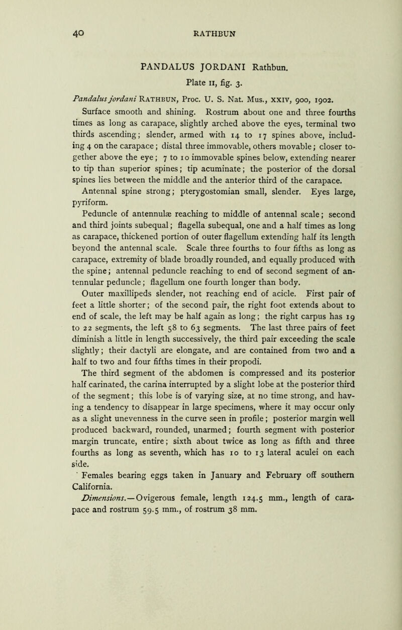 PANDALUS JORDANI Rathbun. Plate II, fig. 3. PandalusjordaniKKTR'RXS-n, Proc. U. S. Nat. Mus., xxiv, 900, 1902, Surface smooth and shining. Rostrum about one and three fourths times as long as carapace, slightly arched above the eyes, terminal two thirds ascending; slender, armed with 14 to 17 spines above, includ- ing 4 on the carapace; distal three immovable, others movable; closer to- gether above the eye; 7 to 10 immovable spines below, extending nearer to tip than superior .spines; tip acuminate; the posterior of the dorsal spines lies between the middle and the anterior third of the carapace. Antennal spine strong; pterygostomian small, slender. Eyes large, pyriform. Peduncle of antennulae reaching to middle of antennal scale; second and third joints subequal; flagella subequal, one and a half times as long as carapace, thickened portion of outer flagellum extending half its length beyond the antennal scale. Scale three fourths to four fifths as long as carapace, extremity of blade broadly rounded, and equally produced with the spine; antennal peduncle reaching to end of second segment of an- tennular peduncle; flagellum one fourth longer than body. Outer maxillipeds slender, not reaching end of acicle. First pair of feet a little shorter; of the second pair, the right foot extends about to end of scale, the left may be half again as long; the right carpus has 19 to 22 segments, the left 58 to 63 segments. The last three pairs of feet diminish a little in length successively, the third pair exceeding the scale slightly; their dactyli are elongate, and are contained from two and a half to two and four fifths times in their propodi. The third segment of the abdomen is compressed and its posterior half carinated, the carina interrupted by a slight lobe at the posterior third of the segment; this lobe is of varying size, at no time strong, and hav- ing a tendency to disappear in large specimens, where it may occur only as a slight unevenness in the curve seen in profile; posterior margin well produced backward, rounded, unarmed; fourth segment with posterior margin truncate, entire; sixth about twice as long as fifth and three fourths as long as seventh, which has 10 to 13 lateral aculei on each side. Females bearing eggs taken in January and February off southern California. Dimensions.—OvigtroMS female, length 124.5 mm., length of cara- pace and rostrum 59.5 mm., of rostrum 38 mm.