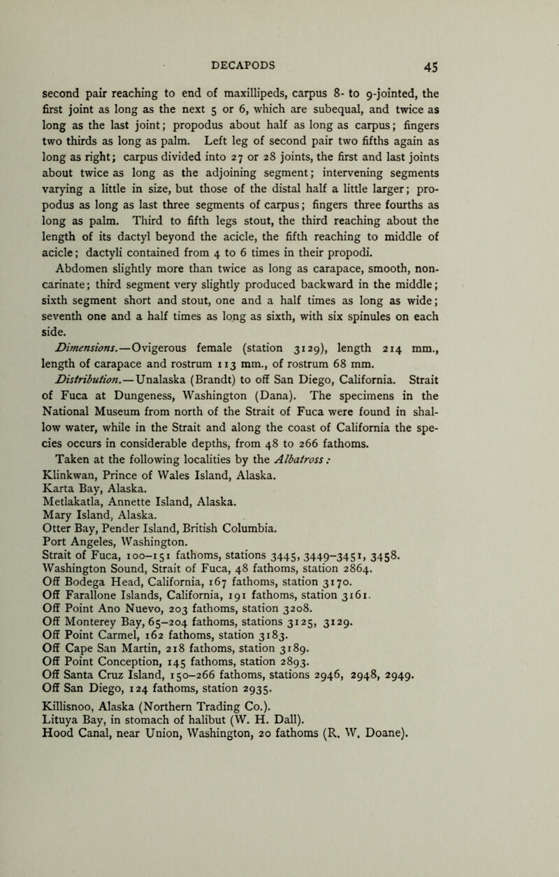 second pair reaching to end of maxillipeds, carpus 8- to 9-jointed, the first joint as long as the next 5 or 6, which are subequal, and twice as long as the last joint; propodus about half as long as carpus; fingers two thirds as long as palm. Left leg of second pair two fifths again as long as right; carpus divided into 27 or 28 joints, the first and last joints about twice as long as the adjoining segment; intervening segments varying a little in size, but those of the distal half a little larger; pro- podus as long as last three segments of carpus; fingers three fourths as long as palm. Third to fifth legs stout, the third reaching about the length of its dactyl beyond the acicle, the fifth reaching to middle of acicle; dactyli contained from 4 to 6 times in their propodi. Abdomen slightly more than twice as long as carapace, smooth, non- carinate; third segment very slightly produced backward in the middle; sixth segment short and stout, one and a half times as long as wide; seventh one and a half times as long as sixth, with six spinules on each side. Dimensions.—Ovigerous female (station 3129), length 214 mm., length of carapace and rostrum 113 mm., of rostrum 68 mm. Distribution.—(Brandt) to off San Diego, California. Strait of Fuca at Dungeness, Washington (Dana). The specimens in the National Museum from north of the Strait of Fuca were found in shal- low water, while in the Strait and along the coast of California the spe- cies occurs in considerable depths, from 48 to 266 fathoms. Taken at the following localities by the Albatross : Klinkwan, Prince of Wales Island, Alaska. Karta Bay, Alaska. Metlakatla, Annette Island, Alaska. Mary Island, Alaska. Otter Bay, Pender Island, British Columbia. Port Angeles, Washington. Strait of Fuca, 100-151 fathoms, stations 3445, 3449-3451, 3458. Washington Sound, Strait of Fuca, 48 fathoms, station 2864. Off Bodega Head, California, 167 fathoms, station 3170. Off Farallone Islands, California, 191 fathoms, station 3161. Off Point Ano Nuevo, 203 fathoms, station 3208. Off Monterey Bay, 65-204 fathoms, stations 3125, 3129. Off Point Carmel, 162 fathoms, station 3183. Off Cape San Martin, 218 fathoms, station 3189. Off Point Conception, 145 fathoms, station 2893. Off Santa Cruz Island, 150-266 fathoms, stations 2946, 2948, 2949. Off San Diego, 124 fathoms, station 2935. Killisnoo, Alaska (Northern Trading Co.). Lituya Bay, in stomach of halibut (W. H. Dali). Hood Canal, near Union, Washington, 20 fathoms (R. W. Doane).