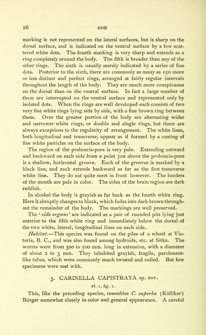 marking is not represented on the lateral surfaces, but is sharp on the dorsal surface, and is indicated on the ventral surface by a few scat- tered white dots. The fourth marking is very sharp and extends as a ring completely around the body. The fifth is broader than any of the other rings. The sixth is usually merely indicated by a series of fine dots. Posterior to the sixth, there are commonly as many as 150 more or less distinct and perfect rings, arranged at fairly regular intervals throughout the length of the body. They are much more conspicuous on the dorsal than on the ventral surface. In fact a large number of them are interrupted on the ventral surface and represented only by isolated dots. When the rings are well developed each consists of two very fine white rings lying side by side, with a fine brown ring between them. Over the greater portion of the body are alternating wider and narrower white rings, or double and single rings, but there are always exceptions to the regularity of arrangement. The white lines, both longitudinal and transverse, appear as if formed by a coating of fine white particles on the surface of the body. The region of the proboscis-pore is very pale. Extending outward and backward on each side from a point just above the proboscis-pore is a shallow, horizontal groove. Each of the grooves is marked by a black line, and each extends backward as far as the first transverse white line. They do not quite meet in front however. The borders of the mouth are pale in color. The sides of the brain region are dark reddish. In alcohol the body is grayish as far back as the fourth white ring. Here it abruptly changes to black, which fades into dark brown through- out the remainder of the body. The markings are well preserved. The 1side organs' are indicated as a pair of rounded pits lying just anterior to the fifth white ring and immediately below the dorsal of the two white, lateral, longitudinal lines on each side. Habitat.—This species was found on the piles of a wharf at Vic- toria, B. C., and was also found among hydroids, etc. at Sitka. The worms were from 300 to 500 mm. long in extension, with a diameter of about 2 to 3 mm. They inhabited grayish, fragile, parchment- like tubes, which were commonly much twisted and coiled. But few specimens were met with. 3. CARINELLA CAPISTRATA sp. nov. pi. 1, fig. 1. This, like the preceding species, resembles C. superba (Kolliker) Burger somewhat closely in color and general appearance. A careful