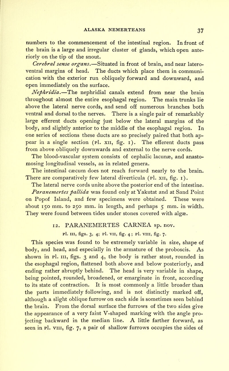 numbers to the commencement of the intestinal region. In front of the brain is a large and irregular cluster of glands, which open ante- riorly on the tip of the snout. Cerebral sense organs.—Situated in front of brain, and near latero- ventral margins of head. The ducts which place them in communi- cation with the exterior run obliquely forward and downward, and open immediately on the surface. Nephridia.—The nephridial canals extend from near the brain throughout almost the entire esophagal region. The main trunks lie above the lateral nerve cords, and send off numerous branches both ventral and dorsal to the nerves. There is a single pair of remarkably large efferent ducts opening just below the lateral margins of the body, and slightly anterior to the middle of the esophagal region. In one series of sections these ducts are so precisely paired that both ap- pear in a single section (p1. xii, fig. i). The efferent ducts pass from above obliquely downwards and external to the nerve cords. The blood-vascular system consists of cephalic lacunae, and anasto- mosing longitudinal vessels, as in related genera. The intestinal caecum does not reach forward nearly to the brain. There are comparatively few lateral diverticula (pi. xn, fig. i). The lateral nerve cords unite above the posterior end of the intestine. Paranemertes pallida was found only atYakutat and at Sand Point on Popof Island, and few specimens were obtained. These were about 150 mm. to 250 mm. in length, and perhaps 5 mm. in width. They were found between tides under stones covered with algae. 12. PARANEMERTES C ARNE A sp. nov. pi. hi, figs. 3, 4; pi. vii, fig. 4; pi. viii, fig. 7. This species was found to be extremely variable in size, shape of body, and head, and especially in the armature of the proboscis. As shown in pi. hi, figs. 3 and 4, the body is rather stout, rounded in the esophagal region, flattened both above and below posteriorly, and ending rather abruptly behind. The head is very variable in shape, being pointed, rounded, broadened, or emarginate in front, according to its state of contraction. It is most commonly a little broader than the parts immediately following, and is not distinctly marked off, although a slight oblique furrow on each side is sometimes seen behind the brain. From the dorsal surface the furrows of the two sides give the appearance of a very faint V-shaped marking with the angle pro- jecting backward in the median line. A little farther forward, as seen in pi. viii, fig. 7, a pair of shallow furrows occupies the sides of