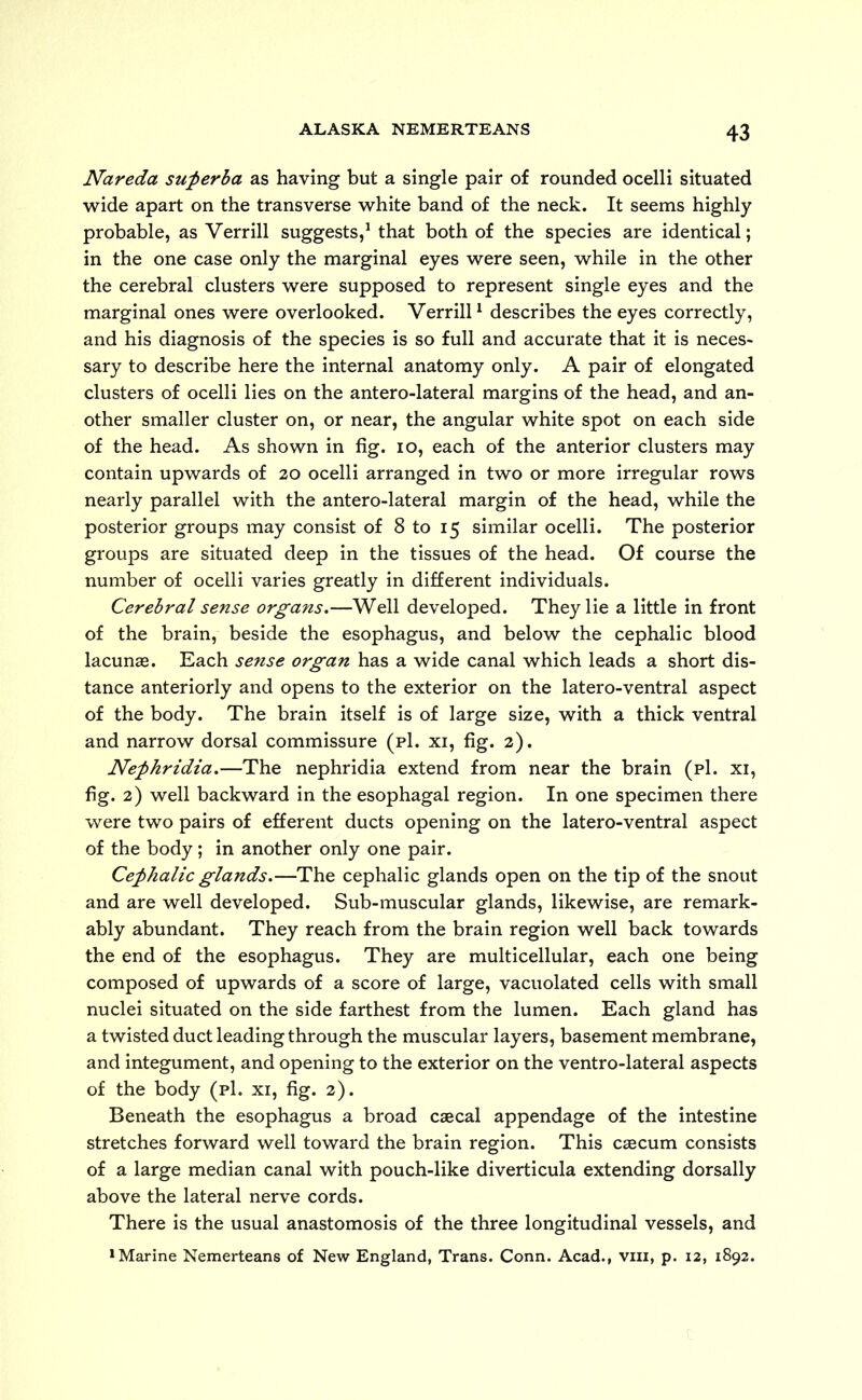 Nareda superba as having but a single pair of rounded ocelli situated wide apart on the transverse white band of the neck. It seems highly probable, as Verrill suggests,1 that both of the species are identical; in the one case only the marginal eyes were seen, while in the other the cerebral clusters were supposed to represent single eyes and the marginal ones were overlooked. Verrill1 describes the eyes correctly, and his diagnosis of the species is so full and accurate that it is neces- sary to describe here the internal anatomy only. A pair of elongated clusters of ocelli lies on the antero-lateral margins of the head, and an- other smaller cluster on, or near, the angular white spot on each side of the head. As shown in fig. io, each of the anterior clusters may contain upwards of 20 ocelli arranged in two or more irregular rows nearly parallel with the antero-lateral margin of the head, while the posterior groups may consist of 8 to 15 similar ocelli. The posterior groups are situated deep in the tissues of the head. Of course the number of ocelli varies greatly in different individuals. Cerebral sense organs.—Well developed. They lie a little in front of the brain, beside the esophagus, and below the cephalic blood lacunas. Each sense organ has a wide canal which leads a short dis- tance anteriorly and opens to the exterior on the latero-ventral aspect of the body. The brain itself is of large size, with a thick ventral and narrow dorsal commissure (pi. xi, fig. 2). Nej)hridia.—The nephridia extend from near the brain (pi. xi, fig. 2) well backward in the esophagal region. In one specimen there were two pairs of efferent ducts opening on the latero-ventral aspect of the body; in another only one pair. Cephalic glands.—The cephalic glands open on the tip of the snout and are well developed. Sub-muscular glands, likewise, are remark- ably abundant. They reach from the brain region well back towards the end of the esophagus. They are multicellular, each one being composed of upwards of a score of large, vacuolated cells with small nuclei situated on the side farthest from the lumen. Each gland has a twisted duct leading through the muscular layers, basement membrane, and integument, and opening to the exterior on the ventro-lateral aspects of the body (pi. xi, fig. 2). Beneath the esophagus a broad caecal appendage of the intestine stretches forward well toward the brain region. This caecum consists of a large median canal with pouch-like diverticula extending dorsally above the lateral nerve cords. There is the usual anastomosis of the three longitudinal vessels, and 1 Marine Nemerteans of New England, Trans. Conn. Acad., vm, p. 12, 1892.