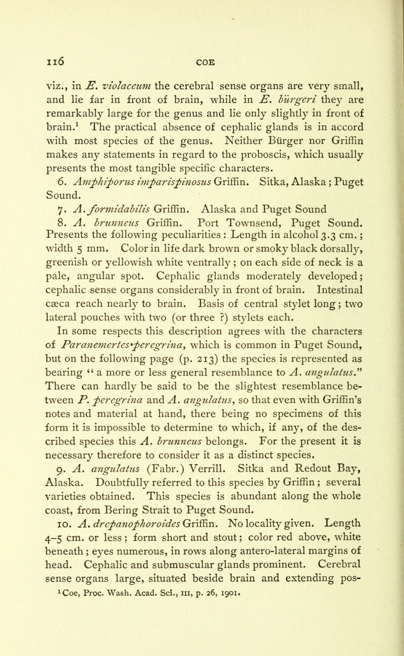 viz., in E. violaceum the cerebral sense organs are very small, and lie far in front of brain, while in E, burgeri they are remarkably large for the genus and lie only slightly in front of brain.1 The practical absence of cephalic glands is in accord with most species of the genus. Neither Burger nor Griffin makes any statements in regard to the proboscis, which usually presents the most tangible specific characters. 6. Amphiporus imparispinosus Griffin. Sitka, Alaska; Puget Sound. 7. A. formidabilis Griffin. Alaska and Puget Sound 8. A. brunneus Griffin. Port Townsend, Puget Sound. Presents the following peculiarities : Length in alcohol 3.3 cm.; width 5 mm. Color in life dark brown or smoky black dorsally, greenish or yellowish white ventrally; on each side of neck is a pale, angular spot. Cephalic glands moderately developed; cephalic sense organs considerably in front of brain. Intestinal caeca reach nearly to brain. Basis of central stylet long; two lateral pouches with two (or three ?) stylets each. In some respects this description agrees with the characters of Paranemertes'peregrina> which is common in Puget Sound, but on the following page (p. 213) the species is represented as bearing “ a more or less general resemblance to A. angulatus A There can hardly be said to be the slightest resemblance be- tween P. peregrina and A. angulatus, so that even with Griffin’s notes and material at hand, there being no specimens of this form it is impossible to determine to which, if any, of the des- cribed species this A. brunneus belongs. For the present it is necessary therefore to consider it as a distinct species. 9. A. angulatus (Fabr.) Verrill. Sitka and Redout Bay, Alaska. Doubtfully referred to this species by Griffin ; several varieties obtained. This species is abundant along the whole coast, from Bering Strait to Puget Sound. 10. A. drepanophoroides Griffin. No locality given. Length 4-5 cm. or less; form short and stout; color red above, white beneath; eyes numerous, in rows along antero-lateral margins of head. Cephalic and submuscular glands prominent. Cerebral sense organs large, situated beside brain and extending pos- 1Coe, Proc. Wash. Acad. Sc!., in, p. 26, 1901.