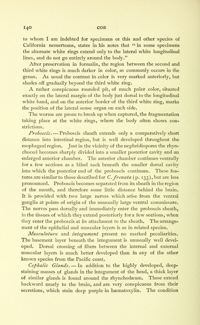 to whom I am indebted for specimens 01 this and other species of California nemerteans, states in his notes that u in some specimens the alternate white rings extend only to the lateral white longitudinal lines, and do not go entirely around the body.” After preservation in formalin, the region between the second and third white rings is much darker in color, as commonly occurs in the genus. As usual the contrast in color is very marked anteriorly, but shades off gradually beyond the third white ring. A rather conspicuous rounded pit, of much paler color, situated exactly on the lateral margin of the body just dorsal to the longitudinal white band, and on the anterior border of the third white ring, marks the position of the lateral sense organ on each side. The worms are prone to break up when captured, the fragmentation taking place at the white rings, where the body often shows con- strictions. Proboscis. — Proboscis sheath extends only a comparatively short distance into intestinal region, but is well developed throughout the esophageal region. Just in the vicinity of the nephridiopores the rhyn- chocoel becomes sharply divided into a smaller posterior cavity and an enlarged anterior chamber. The anterior chamber continues ventrally for a few sections as a blind sack beneath the smaller dorsal cavity into which the posterior end of the proboscis continues. These fea- tures are similar to those described for C. frenata (p. 133), but are less pronounced. Proboscis becomes separated from its sheath in the region of the mouth, and therefore some little distance behind the brain. It is provided with two large nerves which arise from the ventral ganglia at points of origin of the unusually large ventral commissure. The nerves pass dorsally and immediately enter the proboscis sheath, in the tissues of which they extend posteriorly fora few sections, when they enter the proboscis at its attachment to the sheath. The arrange- ment of the epithelial and muscular layers is as in related species. Musculature and integument present no marked peculiarities. The basement layer beneath the integument is unusually well devel- oped. Dorsal crossing of fibers between the internal and external muscular layers is much better developed than in any of the other known species from the Pacific coast. Cephalic Glands. — In addition to the highly developed, deep- staining masses of glands in the integument of the head, a thick layer of similar glands is found around the rhynchodaeum. These extend backward nearly to the brain, and are very conspicuous from their secretions, which stain deep purple in haematoxylin. The condition