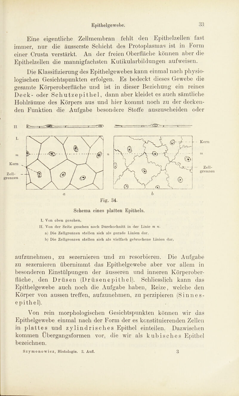 Eine eigentliche Zellmembran fehlt den Epithelzellen fast immer, nur die äusserste Schicht des Protoplasmas ist in Form einer Crusta verstärkt. An der freien Oberfläche können aber die Epithelzellen die mannigfachsten Kutikularbildungen aufweisen. Die Klassifizierung des Epithelgewebes kann einmal nach physio- logischen Gesichtspunkten erfolgen. Es bedeckt dieses Gewebe die gesamte Körperoberfiäche und ist in dieser Beziehung ein reines Deck- oder Schutzepithel, dann aber kleidet es auch sämtliche Hohlräume des Körpers aus und hier kommt noch zu der decken- den Funktion die Aufgabe besondere Stoffe auszuscheiden oder ii Fig. 34. Kern m Zell- grenzen Schema eines platten Epithels. I. Von oben gesehen. II. Von der Seite gesehen nach Durchschnitt in der Linie m n. a) Die Zellgrenzen stellen sich als gerade Linien dar. h) Die Zellgrenzen stellen sich als vielfach gebrochene Linien dar. aufzunehmen, zu sezernieren und zu resorbieren. Die Aufgabe zu sezernieren übernimmt das Epithelgewebe aber vor allem in besonderen Einstülpungen der äusseren und inneren Körperober- fläche, den Drüsen (Drüsenepithei). Schliesslich kann das Epithelgewebe auch noch die Aufgabe haben, Reize, welche den Körper von aussen treffen, aufzunehmen, zu perzipieren (Sinnes- epithel). Von rein morphologischen Gesichtspunkten können wir das Epithelgewebe einmal nach der Form der es konstituierenden Zellen in plattes und zylindrisches Epithel einteilen. Dazwischen • • kommen Ubergangsformen vor, die wir als kubisches Epithel bezeichnen. Szymonowicz, Histologie. 2. Aufl. 3