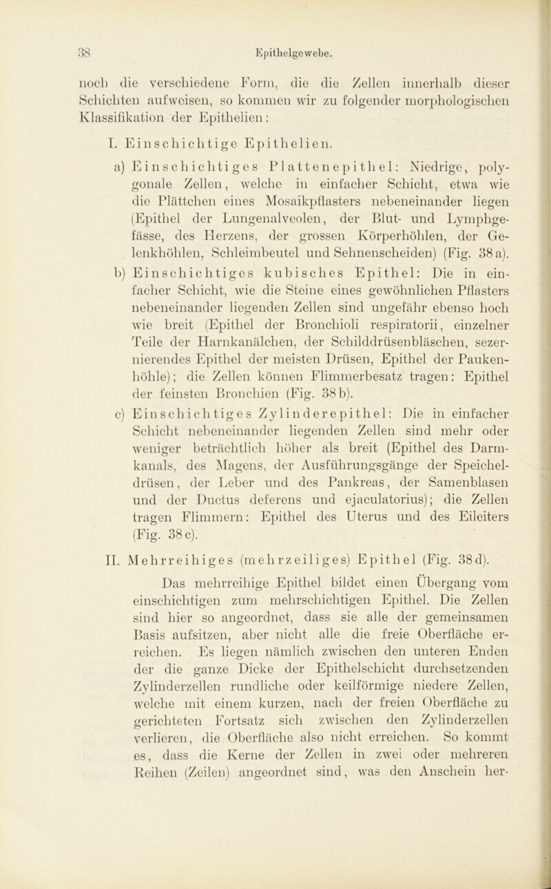 QO noch die verschiedene Form, die die Zellen innerhalb dieser Schichten auf weisen, so kommen wir zu folgender morphologischen Klassifikation der Epitlielien: I. Einschichtige Epitlielien. a) Einschichtiges Plattenepithel: Niedrige> poly- gonale Zellen, welche in einfacher Schicht, etwa wie die Plättchen eines Mosaikpflasters nebeneinander liegen (Epithel der Lungenalveolen, der Blut- und Lymphge- l’ässe, des Herzens, der grossen Körperhöhlen, der Ge- lenkhöhlen, Schleimbeutel und Sehnenscheiden) (Fig. 38 a). h) Einschichtiges kubisches Epithel: Die in ein- facher Schicht, wie die Steine eines gewöhnlichen Pflasters nebeneinander liegenden Zellen sind ungefähr ebenso hoch wie breit (Epithel der Bronchioli respiratorii, einzelner Teile der Harnkanälchen, der Schilddrüsenbläschen, sezer- nierendes Epithel der meisten Drüsen, Epithel der Pauken- höhle); die Zellen können Flimmerbesatz tragen: Epithel der feinsten Bronchien (Fig. 38 b). c) Einschichtiges Zylinderepithel: Die in einfacher Schicht nebeneinander liegenden Zellen sind mehr oder weniger beträchtlich höher als breit (Epithel des Darm- kanals, des Magens, der Ausführungsgänge der Speichel- drüsen , der Leber und des Pankreas, der Samenblasen und der Ductus deferens und ejaculatorius); die Zellen tragen Flimmern: Epithel des Uterus und des Eileiters (Fig. 38 c). II. Mehrreihiges (mehrzeiliges) Epithel (Fig. 38d). Das mehrreihige Epithel bildet einen Übergang vom einschichtigen zum mehrschichtigen Epithel. Die Zellen sind hier so angeordnet, dass sie alle der gemeinsamen Basis aufsitzen, aber nicht alle die freie Oberfläche er- reichen. Es liegen nämlich zwischen den unteren Enden der die ganze Dicke der Epithelschicht durchsetzenden Zylinderzellen rundliche oder keilförmige niedere Zellen, welche mit einem kurzen, nach der freien Oberfläche zu gerichteten Fortsatz sich zwischen den Zylinderzellen verlieren, die Oberfläche also nicht erreichen. So kommt es, dass die Kerne der Zellen in zwei oder mehreren Reihen (Zeilen) angeordnet sind, was den Anschein her-