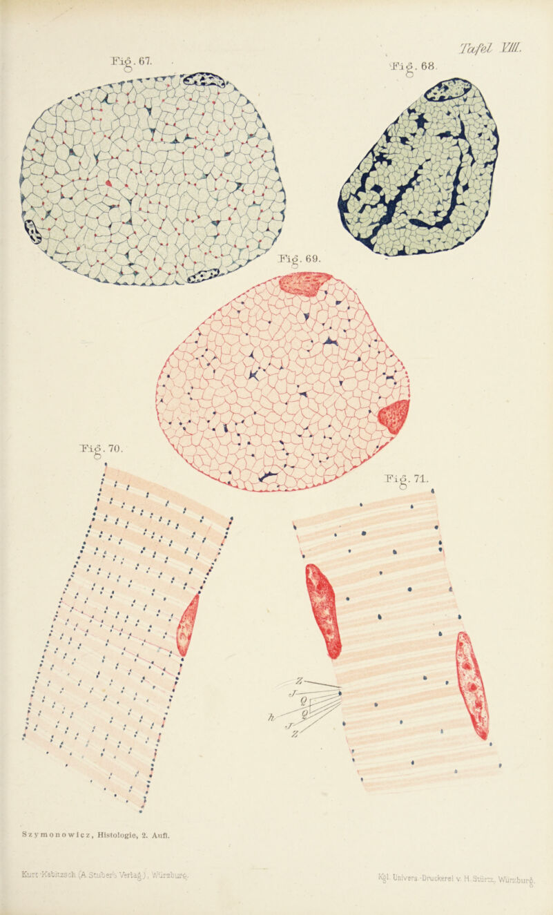 Kurt -Kabitzsch (A.Stüters Vertag), Würzt) ufg. Univers.-Druckerei v. H.Stürtz. Würzburö o'